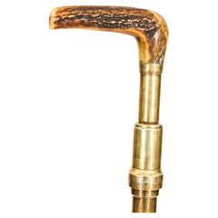 Antique Helixophile's Novelty Walking Stick Corkscrew Cane 19th Century