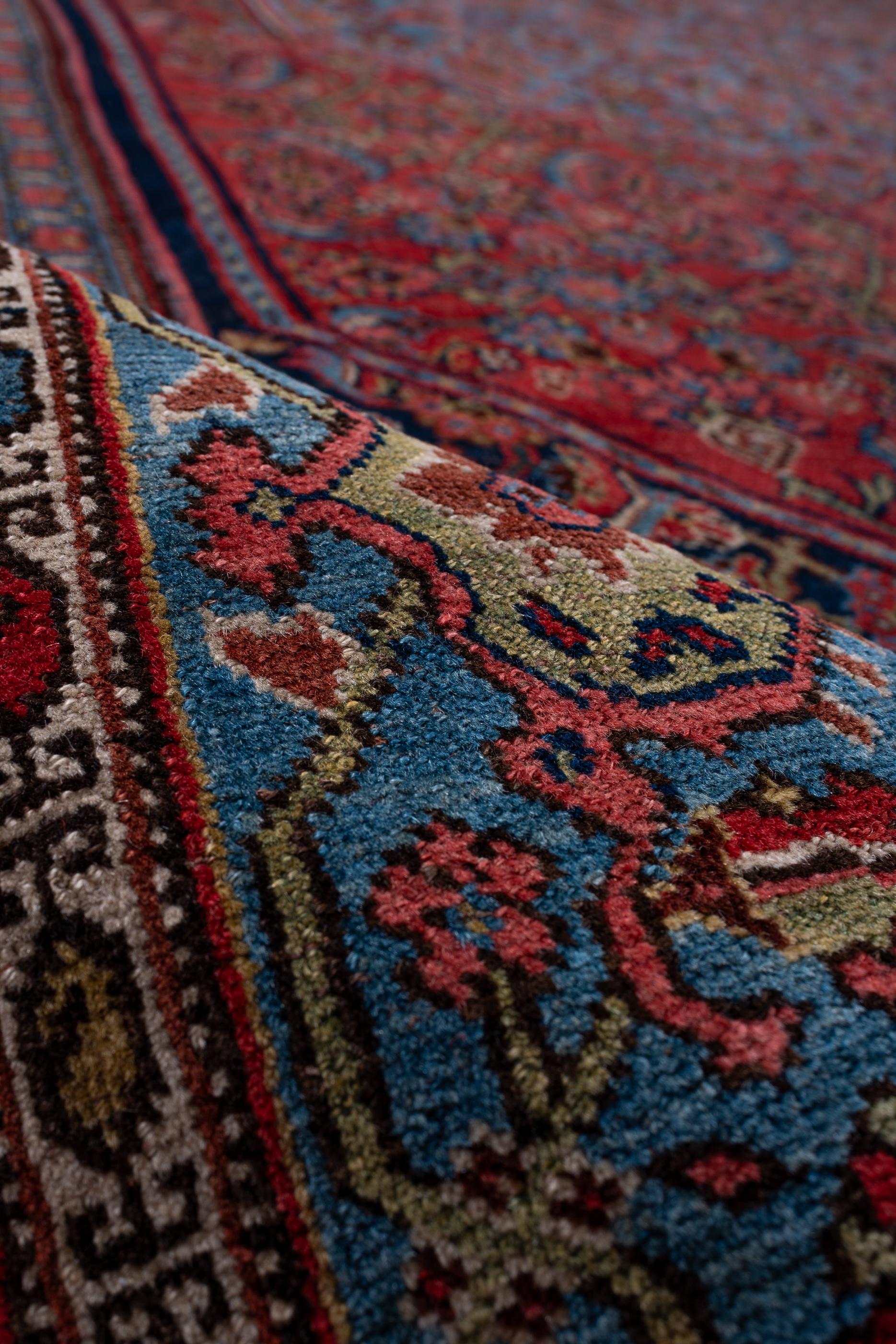 Wool Antique Herati Design with Red Field and Navy Blue Border For Sale