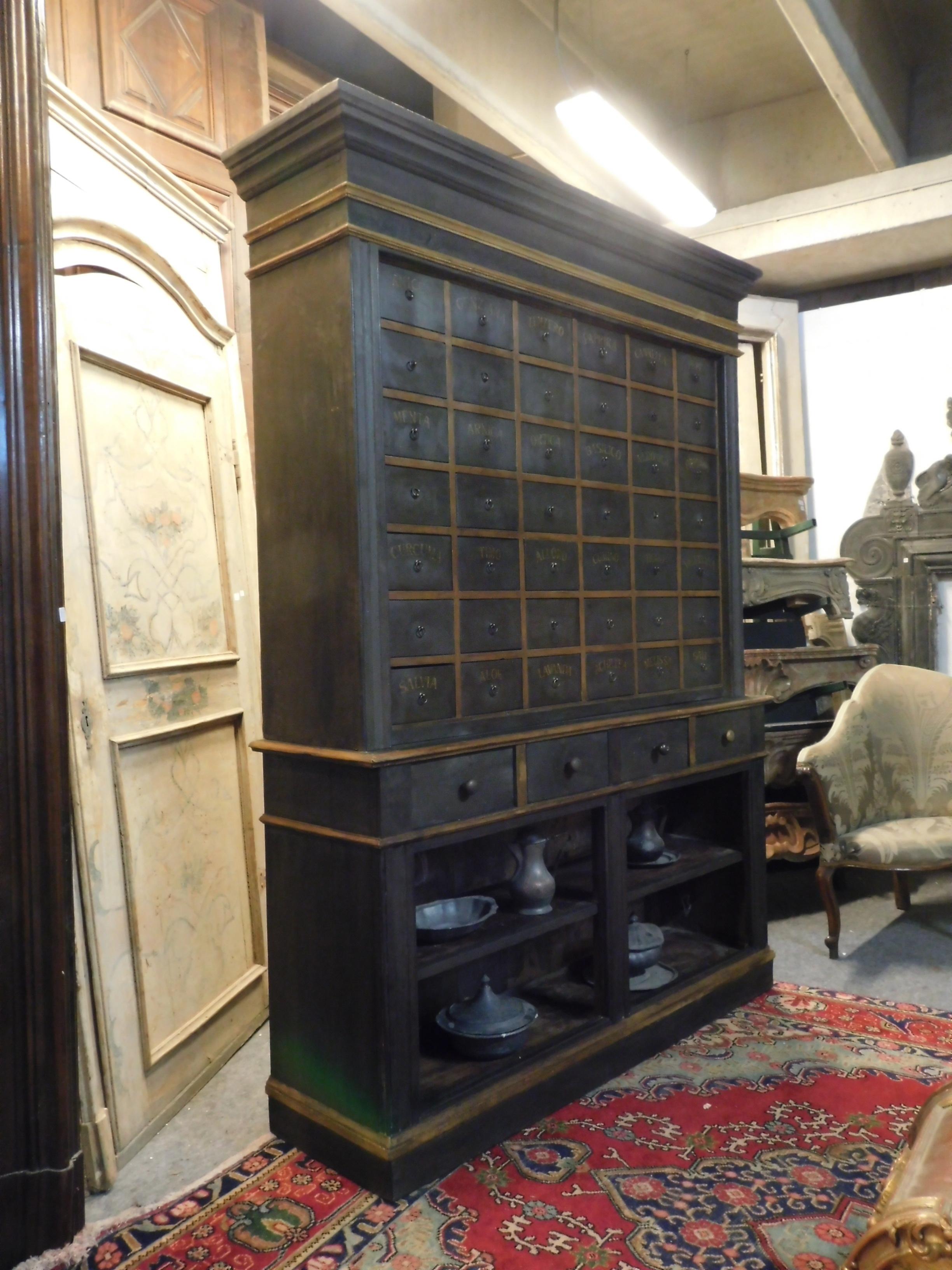 Antique Herbal Pharmacy Cabinet with Named Drawers, Early 19th Century, Italy For Sale 1
