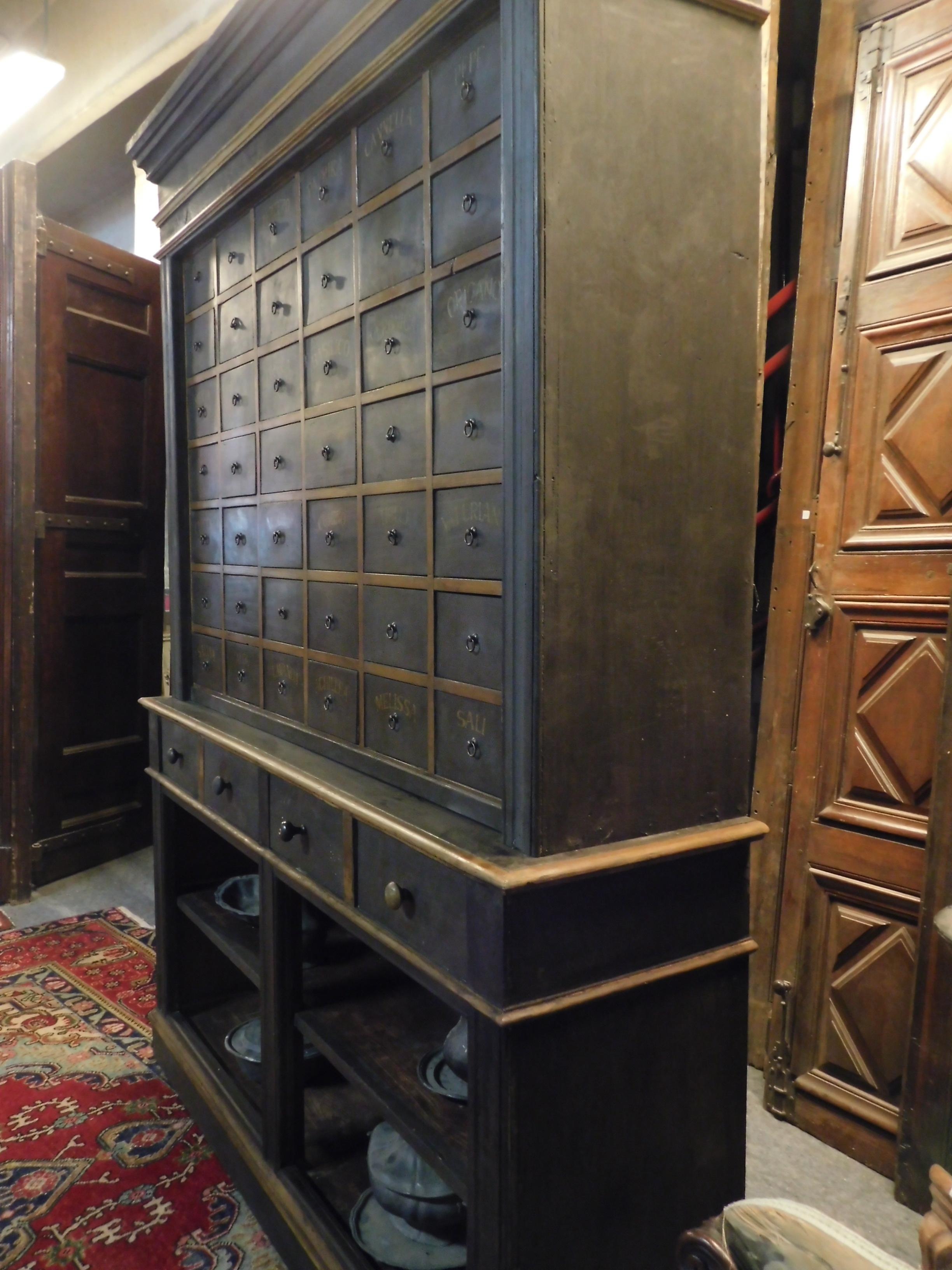 Antiker Herbal Pharmacy-Schrank mit benannten Schubladen, frühes 19. Jahrhundert, Italien im Angebot 5