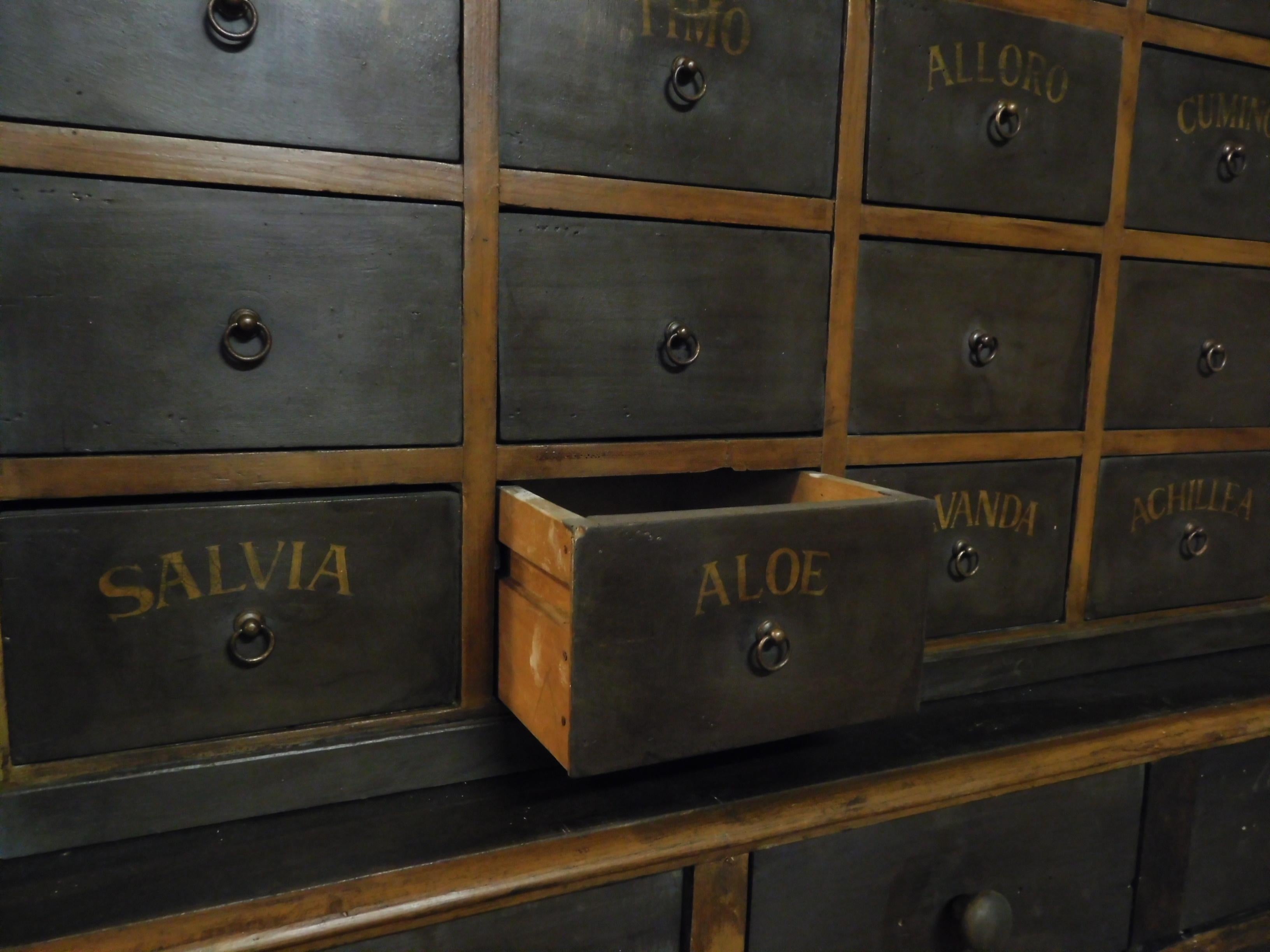 Armoire de pharmacie organique ancienne avec tiroirs nommés, début du 19ème siècle, Italie en vente 6
