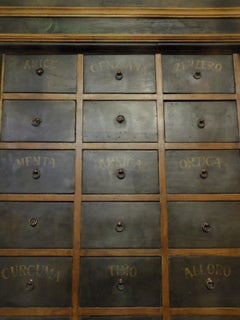 Antique Herbal Pharmacy Cabinet with Named Drawers, Early 19th Century, Italy
