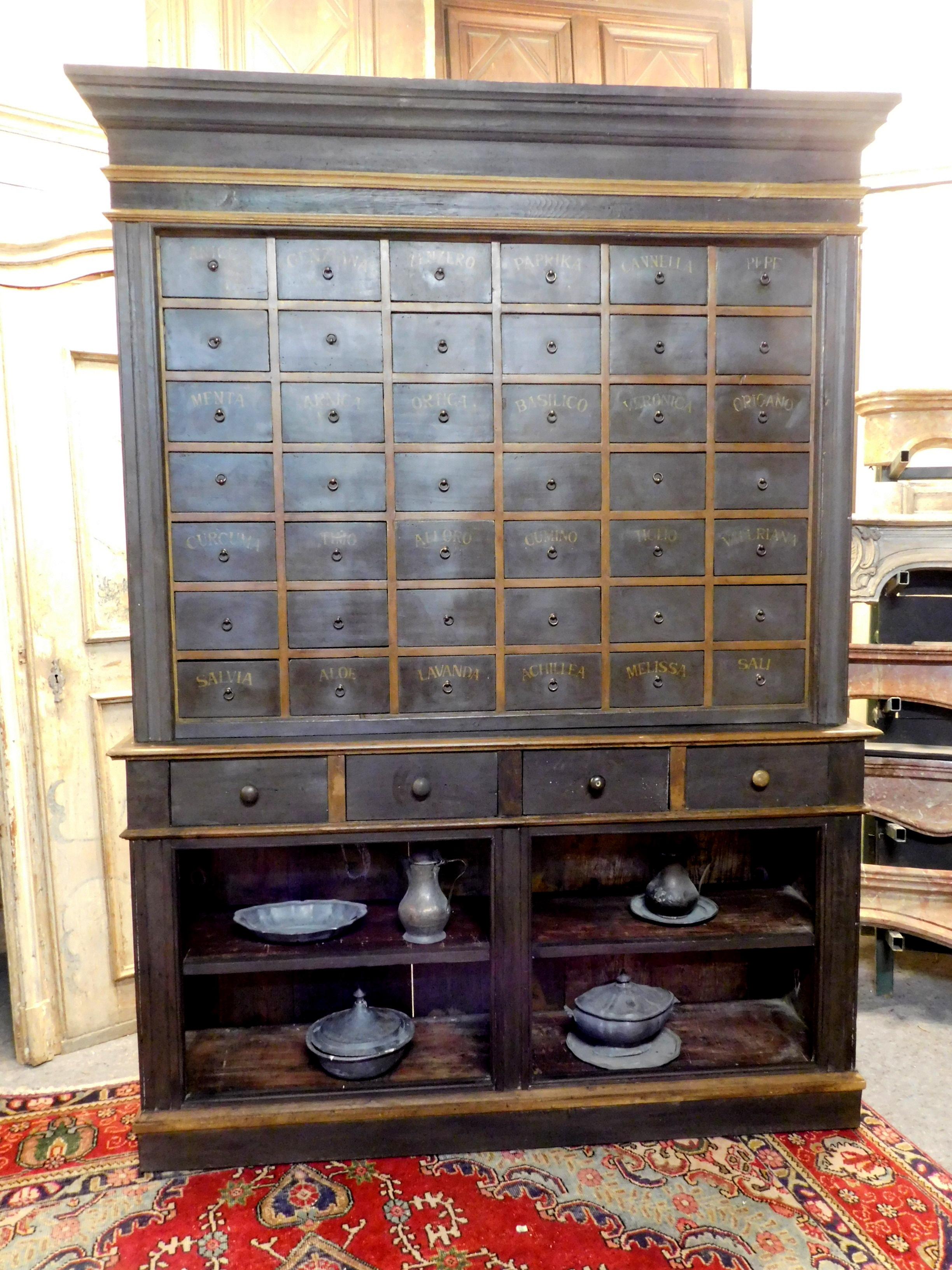 Italian Antique Herbal Pharmacy Cabinet with Named Drawers, Early 19th Century, Italy For Sale