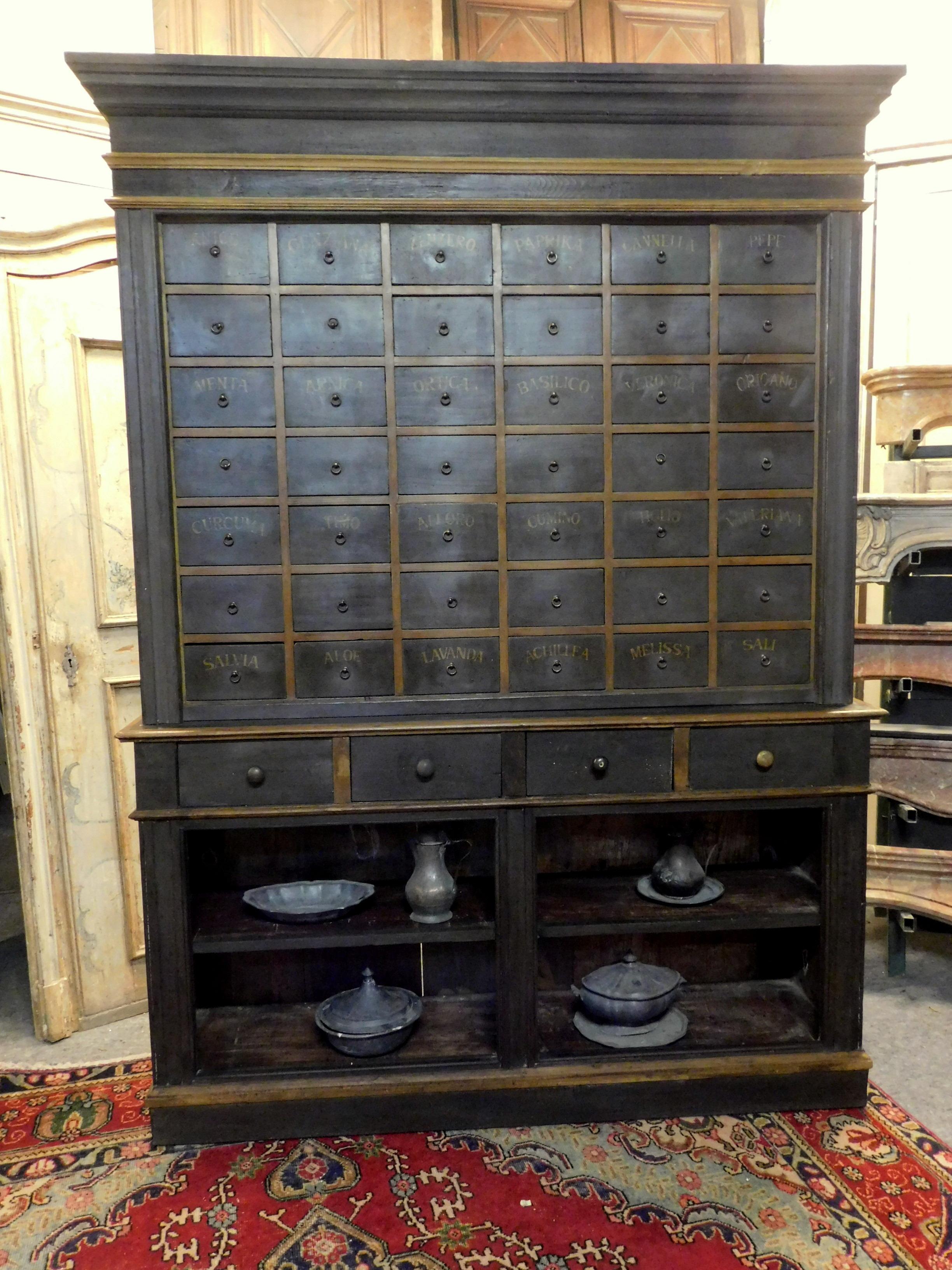 Hand-Carved Antique Herbal Pharmacy Cabinet with Named Drawers, Early 19th Century, Italy For Sale