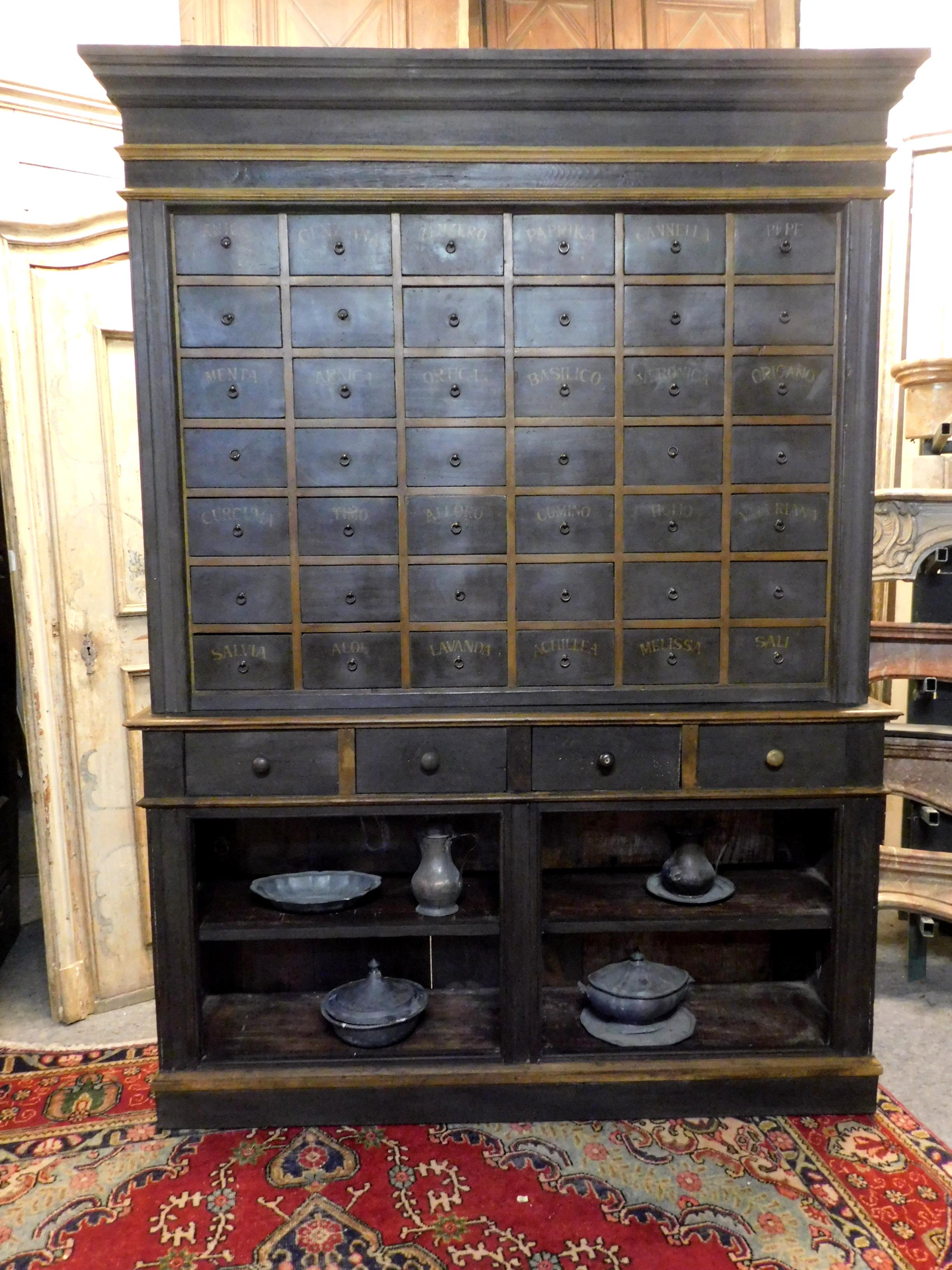 Antique Herbal Pharmacy Cabinet with Named Drawers, Early 19th Century, Italy In Good Condition For Sale In Cuneo, Italy (CN)