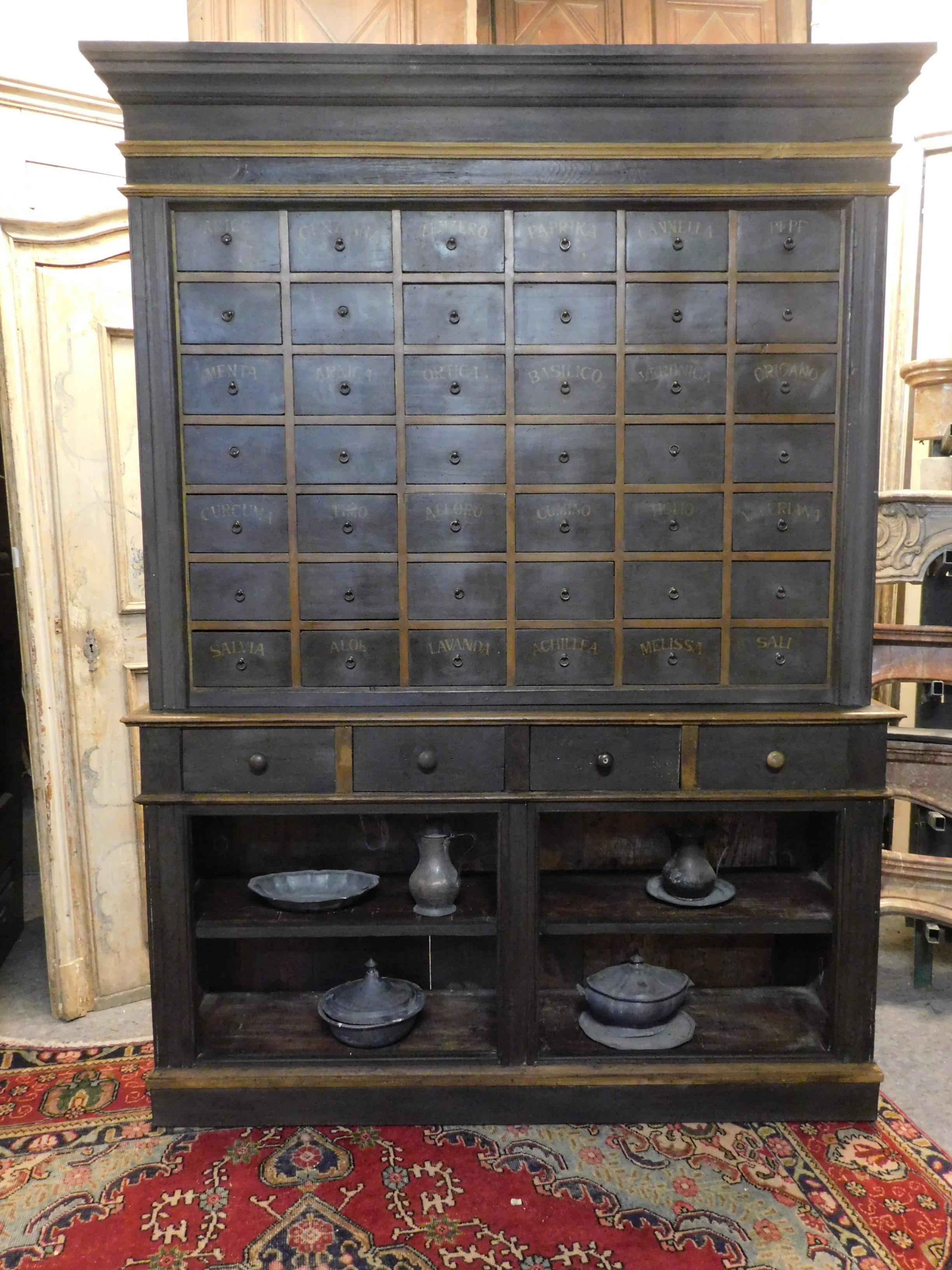 Wood Antique Herbal Pharmacy Cabinet with Named Drawers, Early 19th Century, Italy For Sale