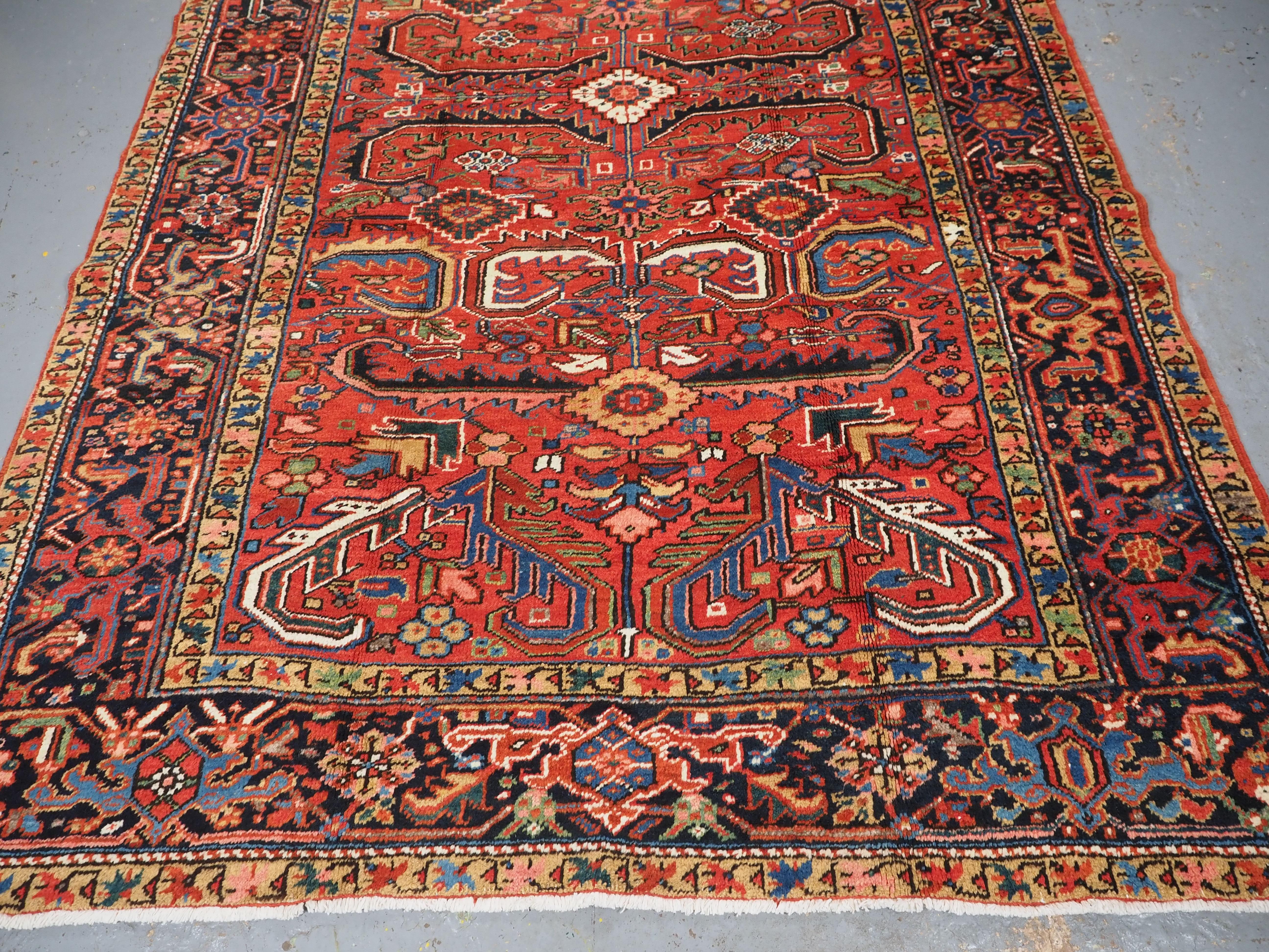 Antique Heriz carpet with a traditional all over design, circa 1910. For Sale 1