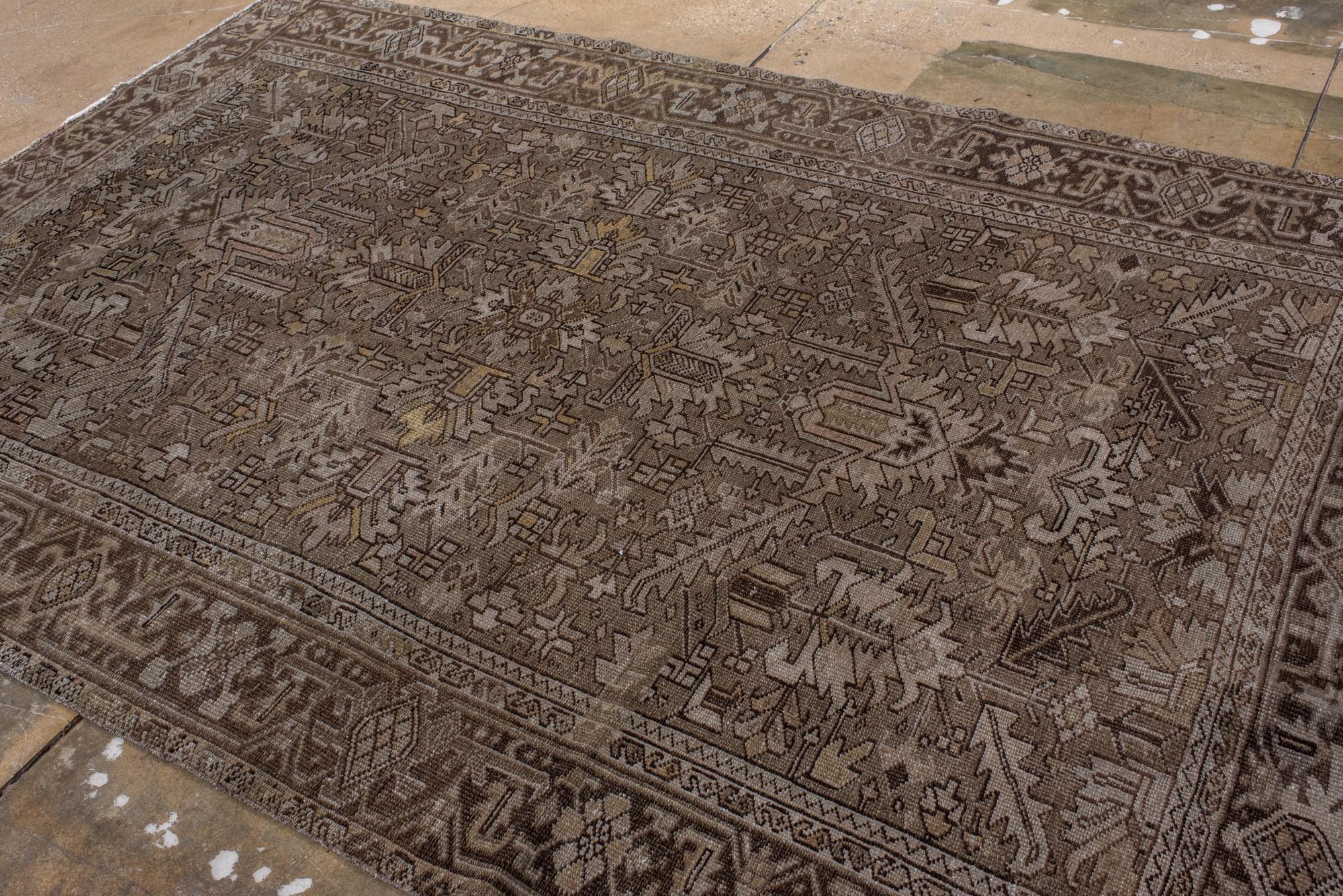 Antiker Heriz in neutralen Tönen mit geometrischem Medaillon 1