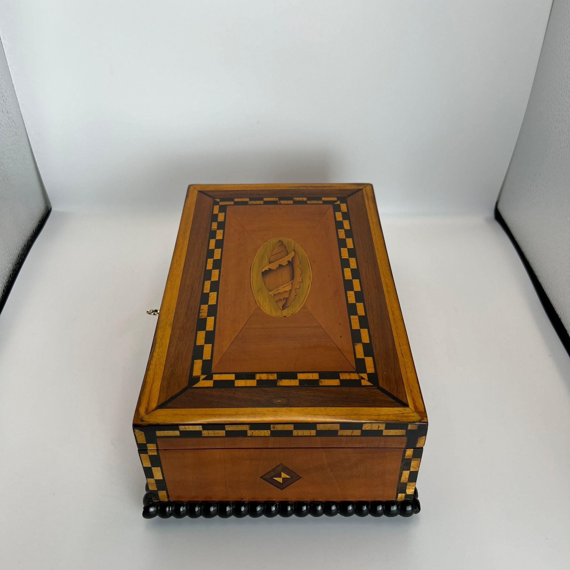 Antique Historicism Box, Birch, Marqueterie, Shell Inlay, Germany, circa 1880 For Sale 6