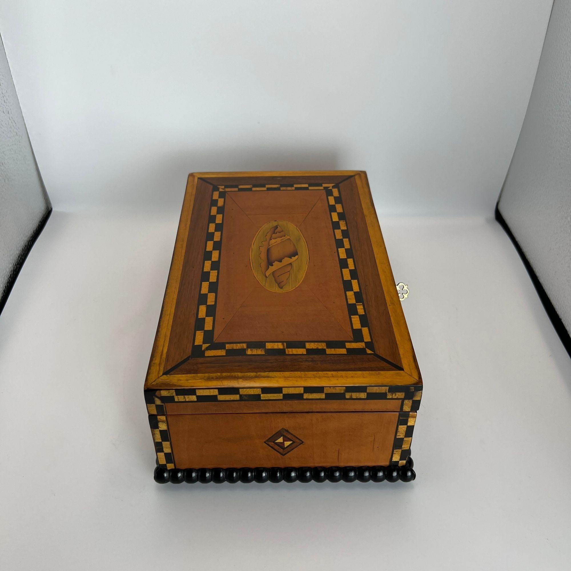 Antique Historicism Box, Birch, Marqueterie, Shell Inlay, Germany, circa 1880 For Sale 3