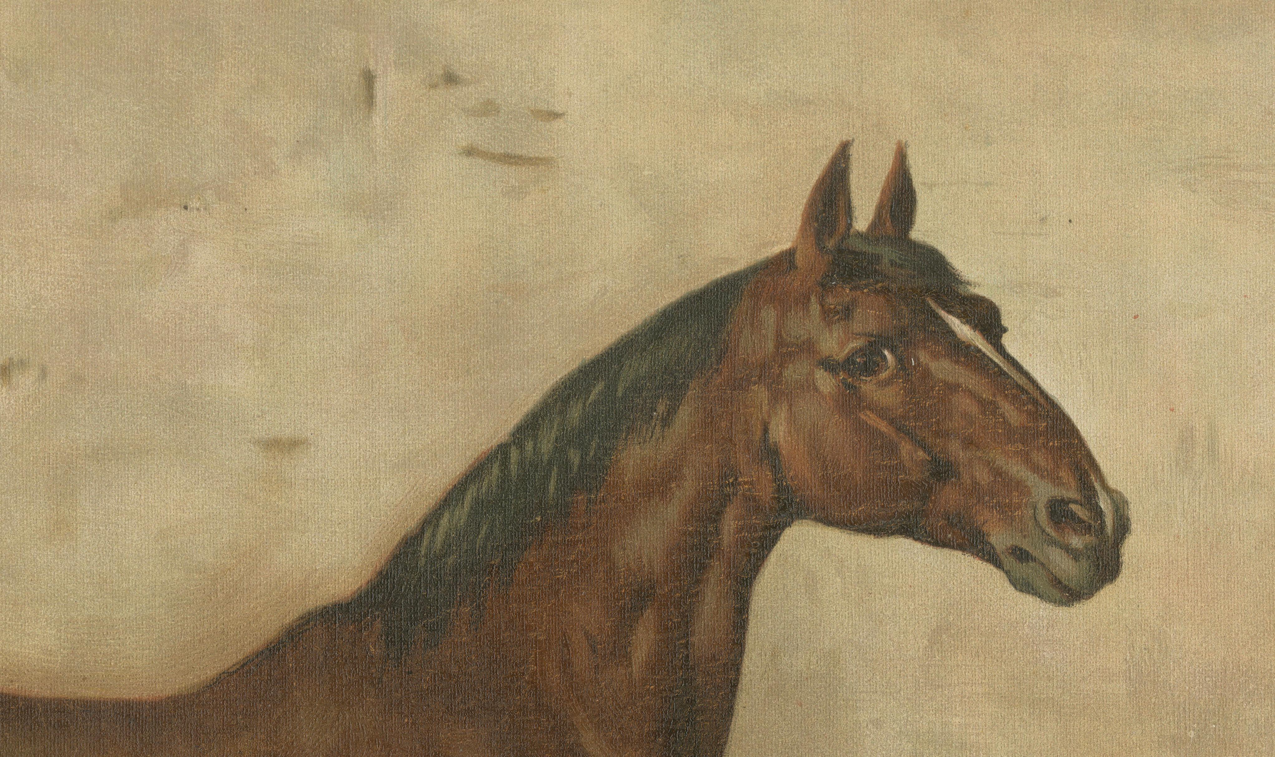 Antique Holstein Horse Portrait, European Warmblood Equestrian Litho, ca.1898