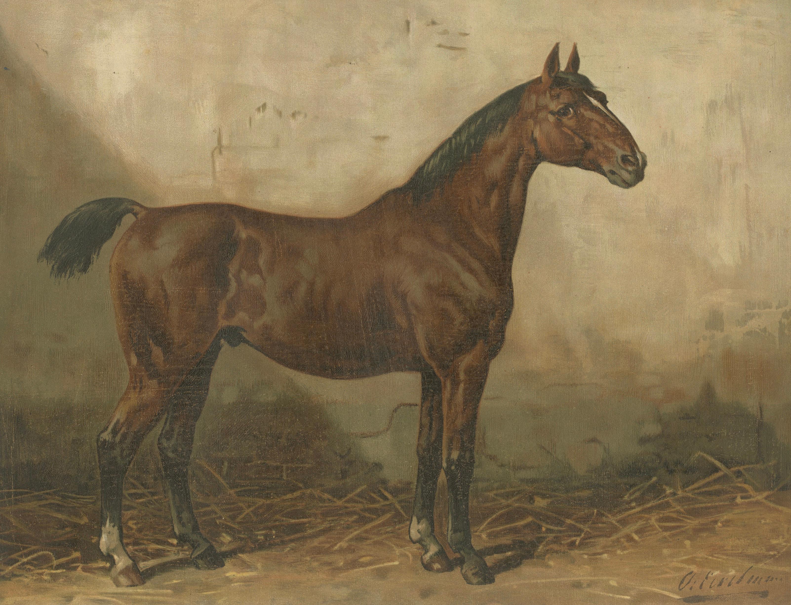 Antique Holstein Horse Portrait, European Warmblood Equestrian Litho, ca.1898