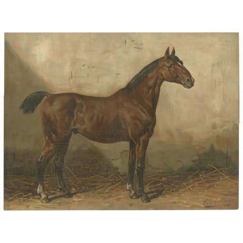 Antique Holstein Horse Portrait, European Warmblood Equestrian Litho, ca.1898
