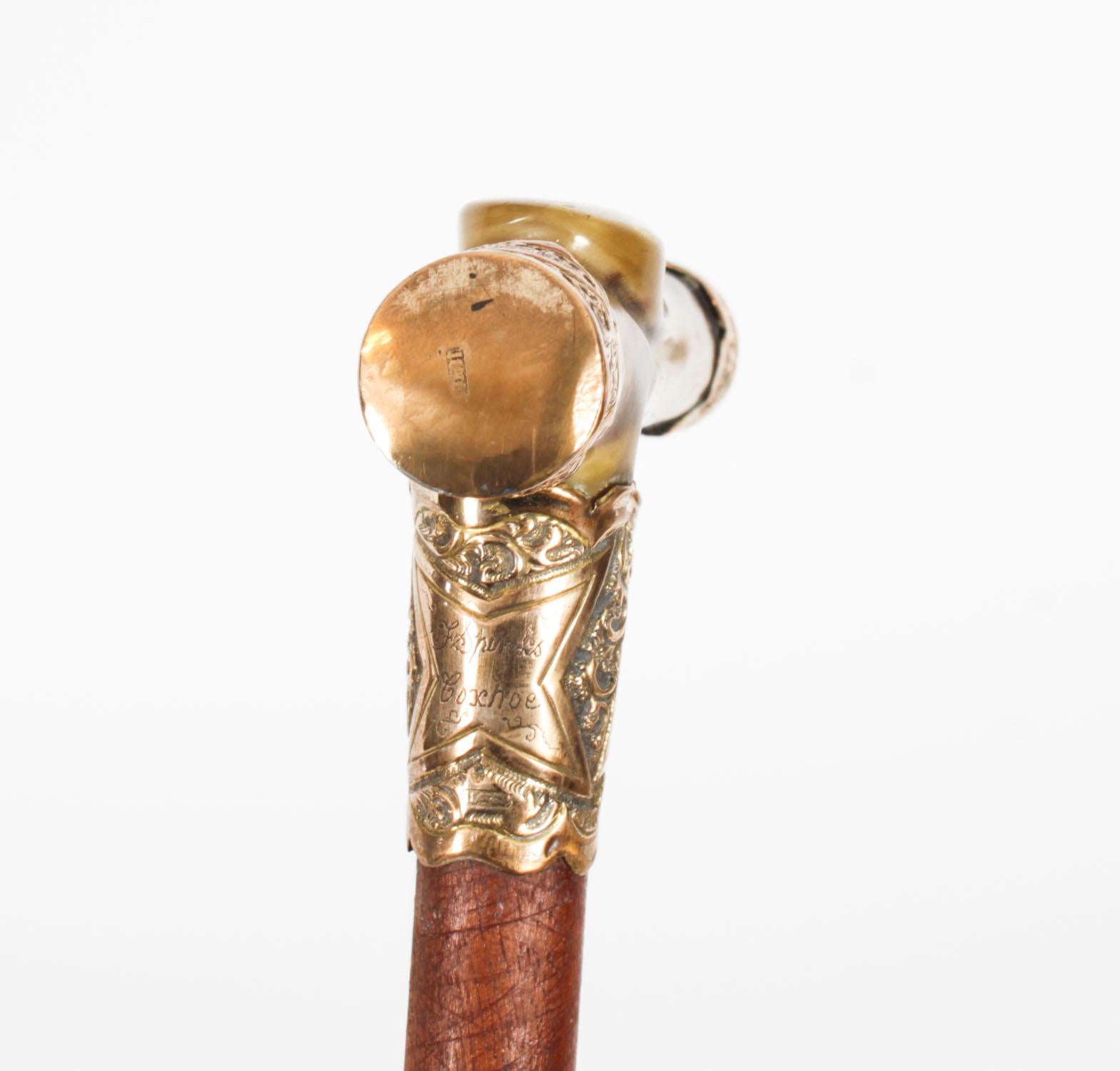 Antique Horn Gold Mounted Walking Cane Stick Late 19th Century For Sale 1