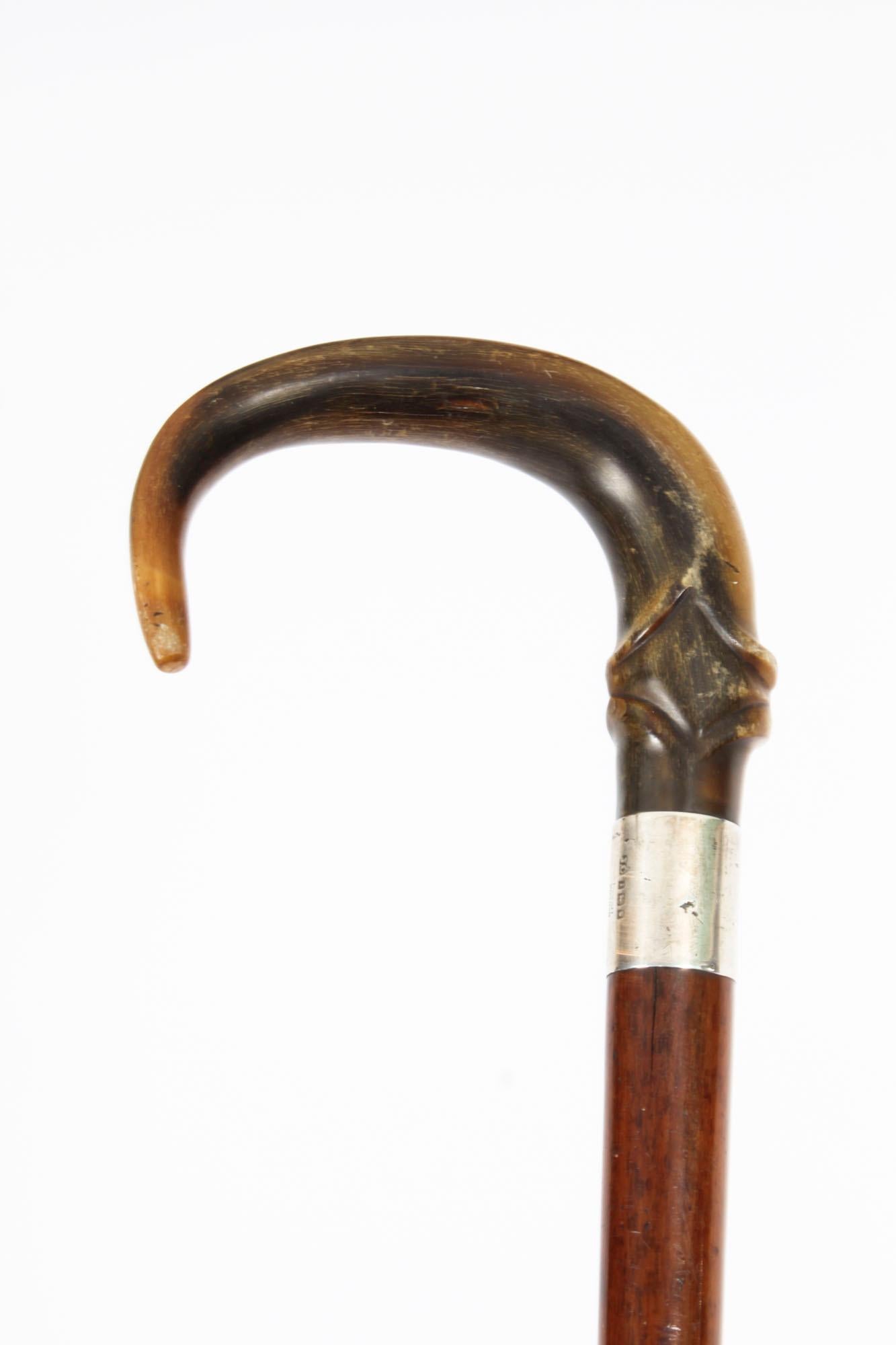 This is a beautiful antique Edwardian horn handled walking stick, the silver collar bears hallmarks for the maker Ben Cox, London and is dated 1904.
 
The handle is carved in a hook shape and features an elegant silver collar.
The sturdy Malacca