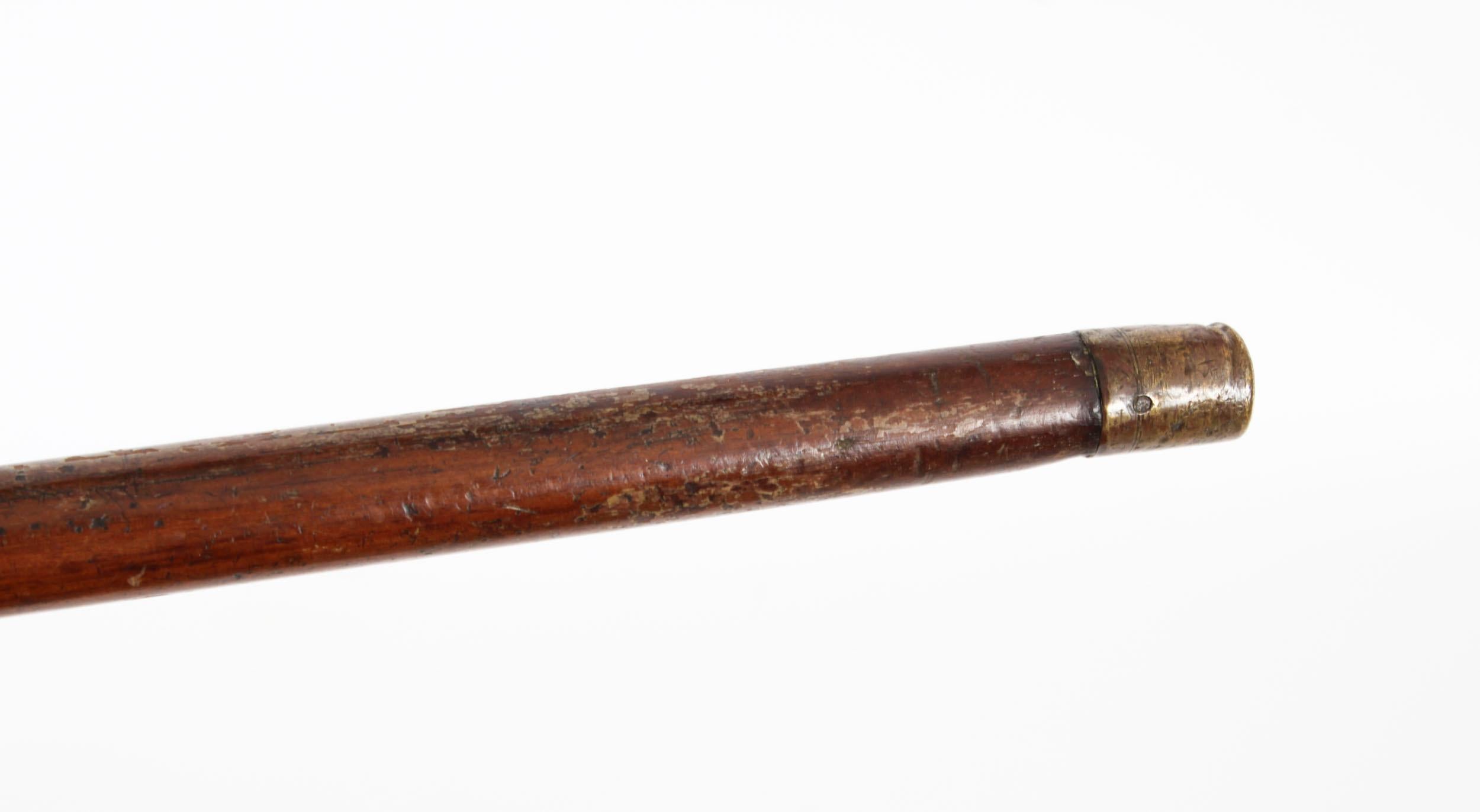Antique Horn Handled Walking Cane Stick Silver Collar, 1904 1