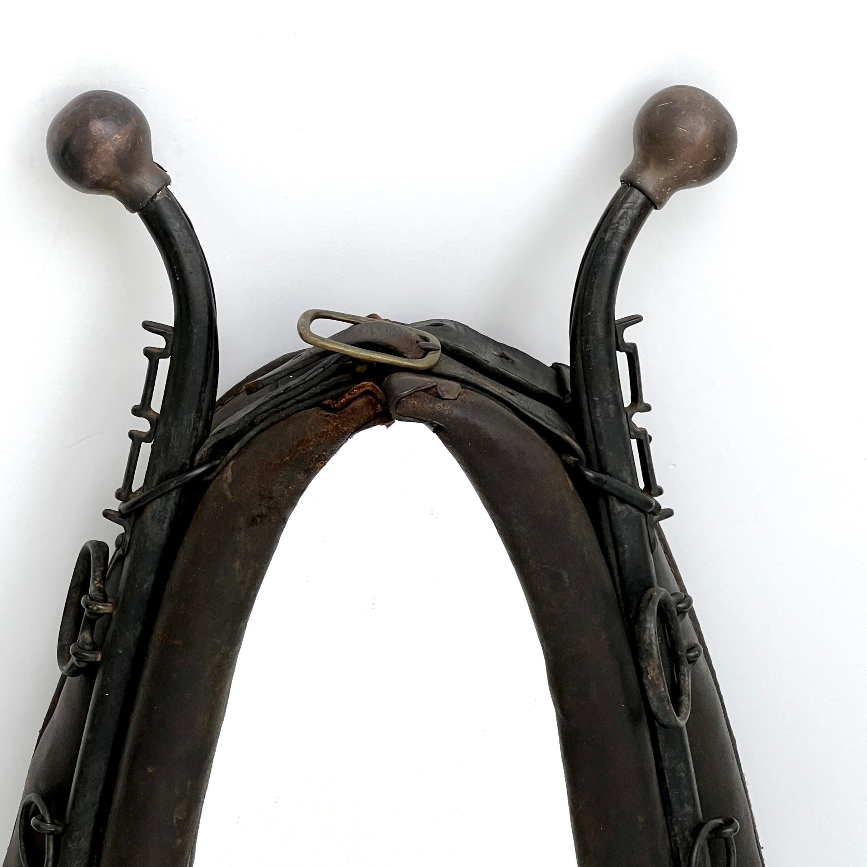 Émaillé Antique miroir éque à col de cheval en cuir vieilli en vente