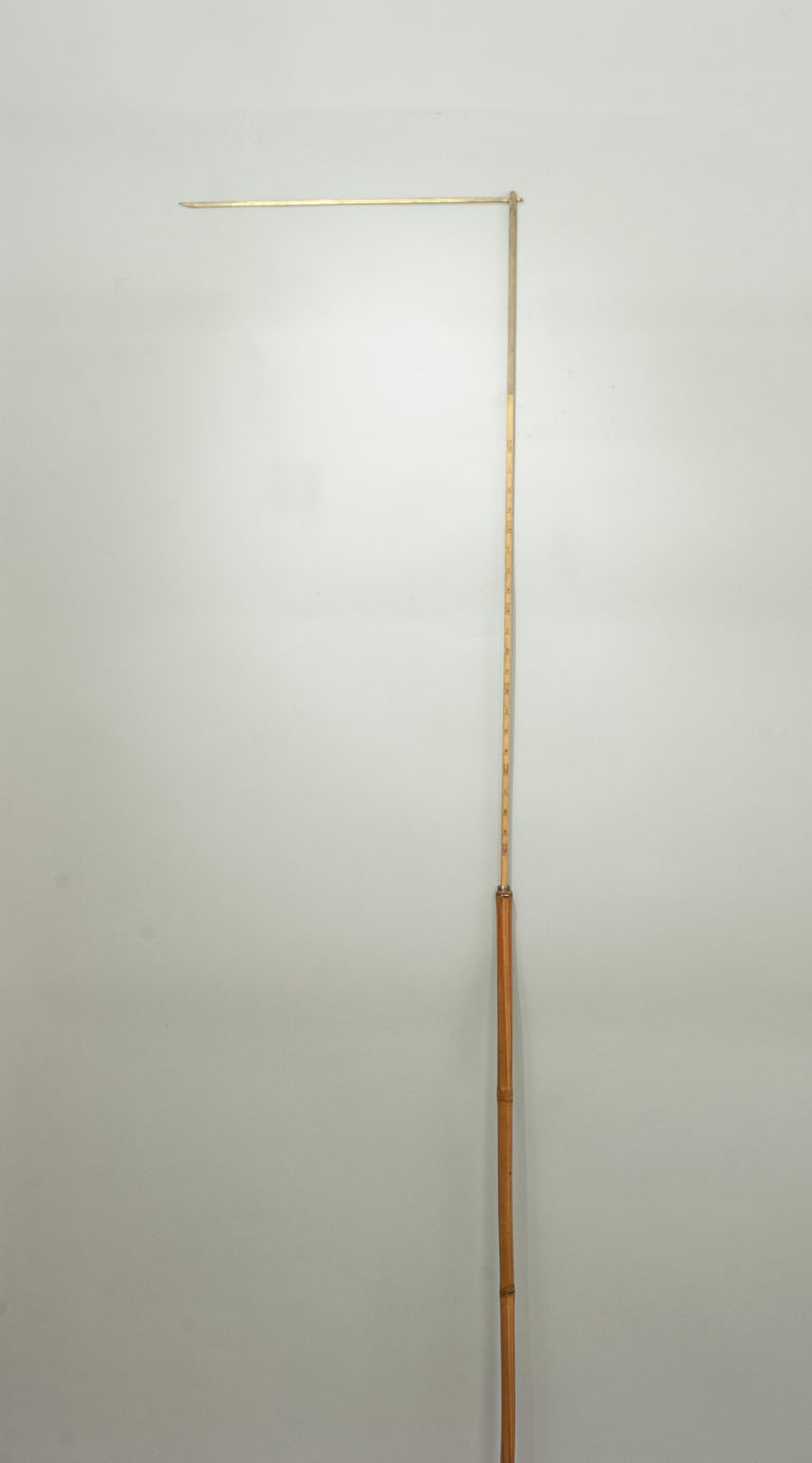 Antique Horse Measure Stick by Arnold and Sons For Sale at 1stDibs
