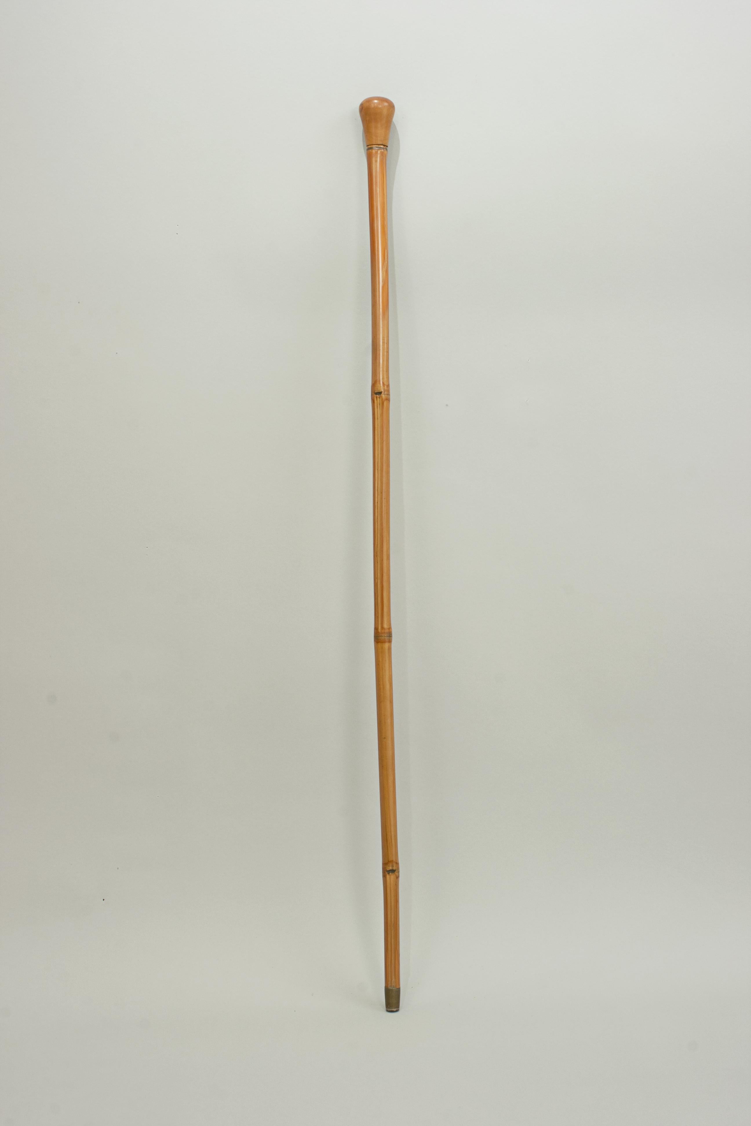 Antique Horse Measure Stick by Arnold and Sons 2