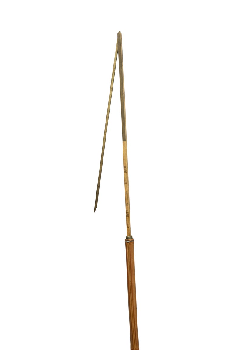 Antique Horse Measure Stick by Arnold and Sons at 1stDibs antique