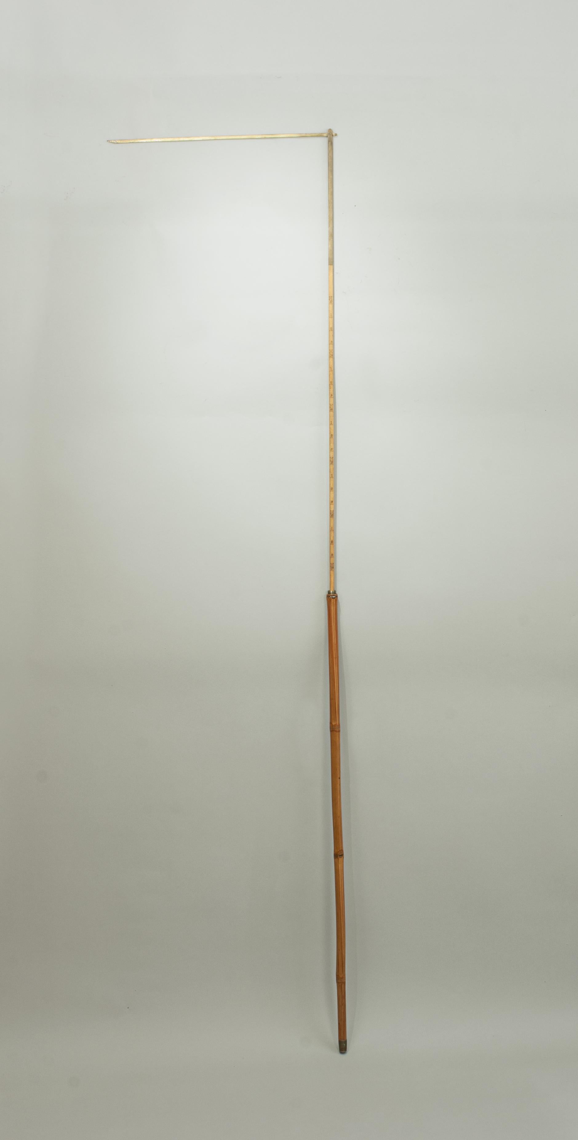 antique horse measuring stick
