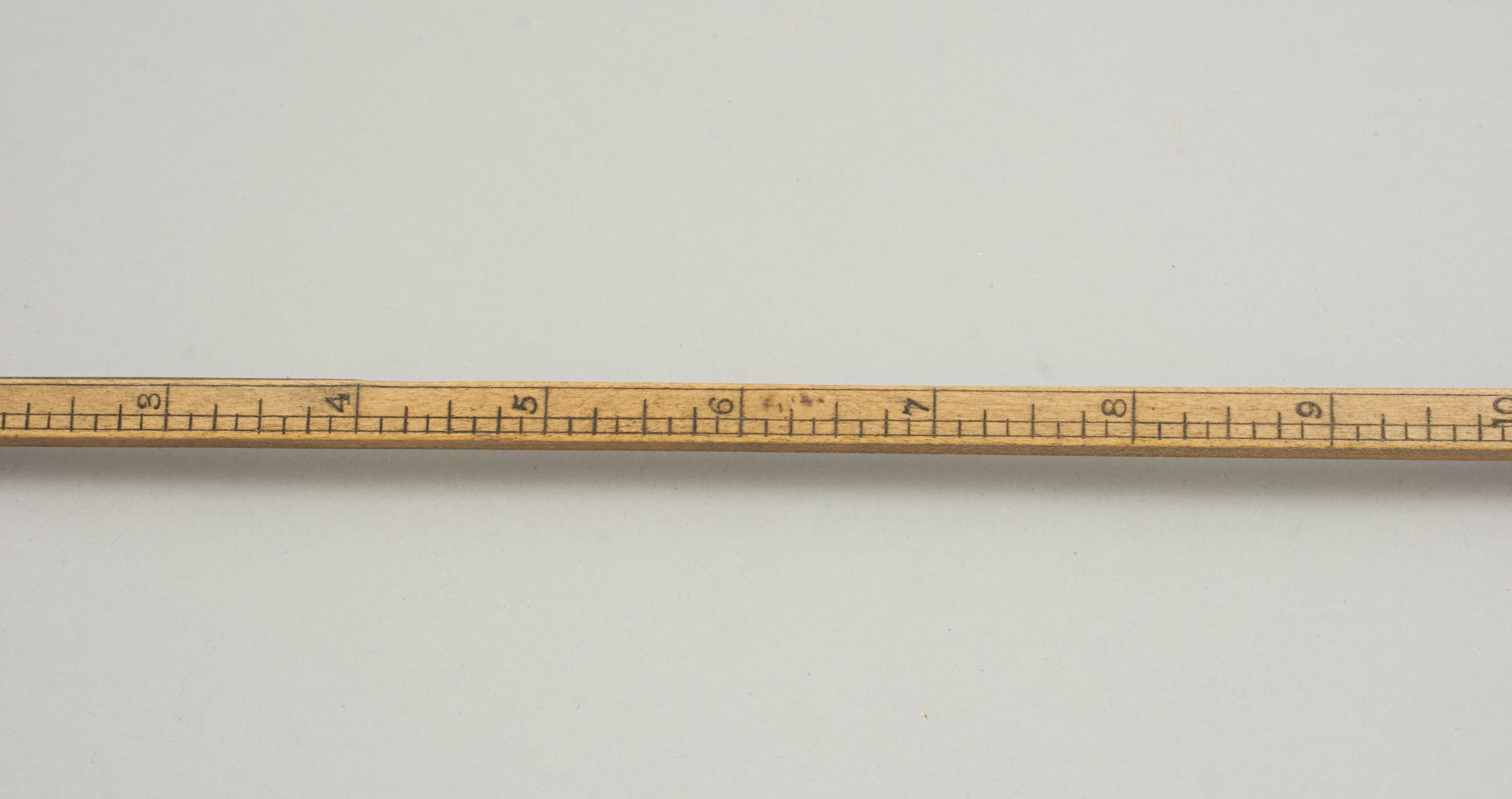 19th Century Antique Horse Measure Stick by Arnold and Sons