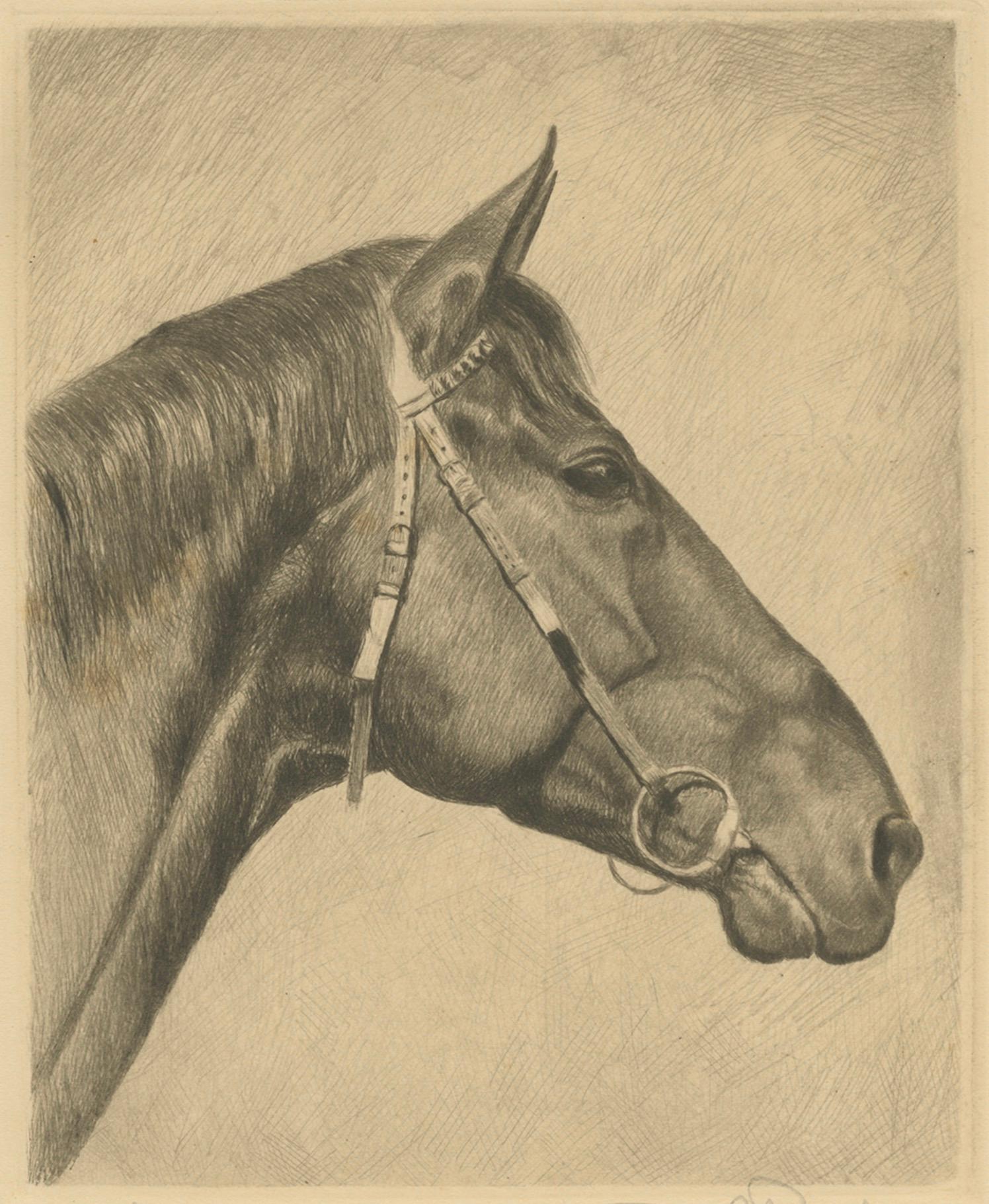 20th Century Antique Horse Portrait Etching – Signed Original German Etching, circa 1925 For Sale