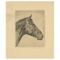 Antique Horse Portrait Etching – Signed Original German Etching, circa 1925