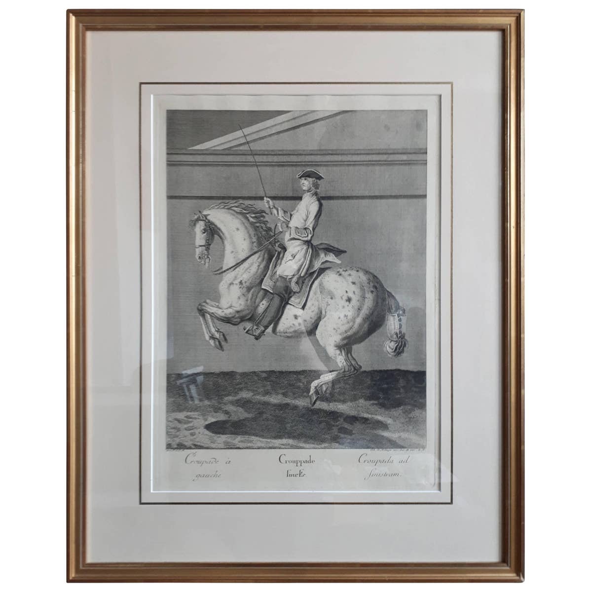 Antique Horse Print 'Croupade' by J. E. Ridinger, circa 1750