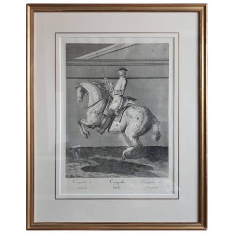 Antique Horse Print 'Croupade' by J. E. Ridinger, circa 1750