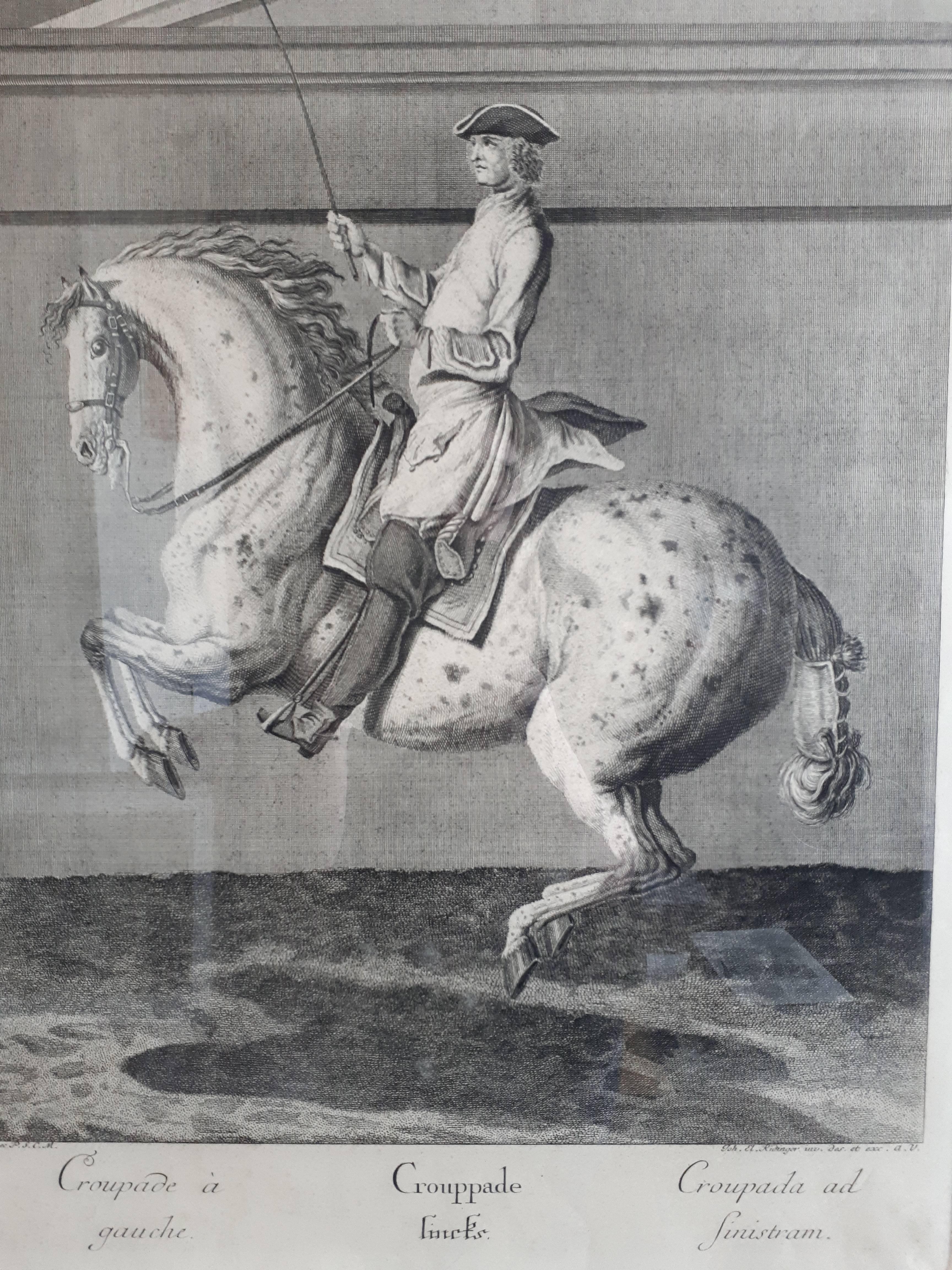 Antique print titled 'Croupade à gauche. Crouppade lincks. Croupada ad sinistram'. Croupade is a movement in which a horse jumps up from a pesade with all four legs drawn up under it and lands on four legs in the same place.