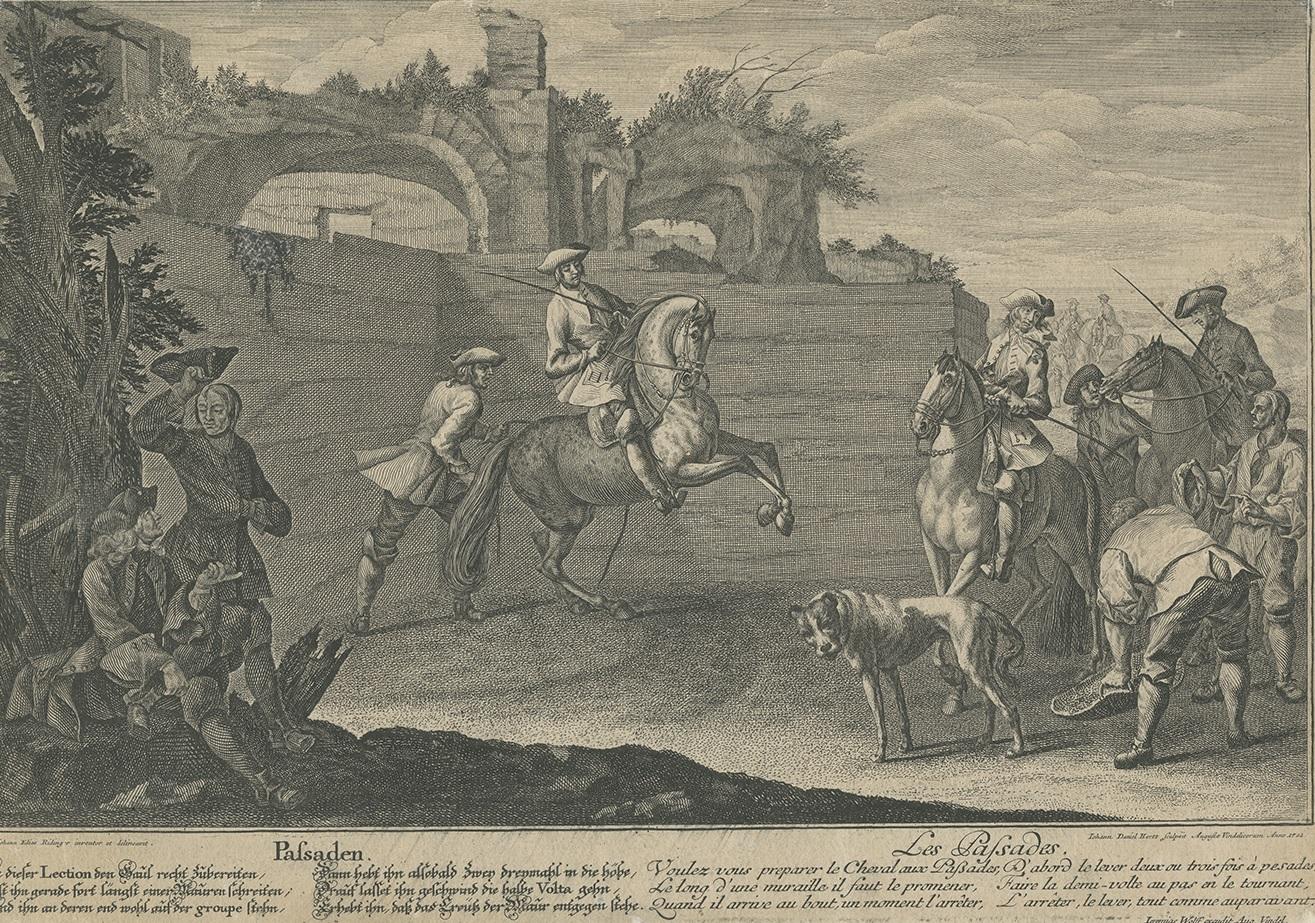 Antique Horse Print of a Passade training by Ridinger, 1722 In Fair Condition For Sale In Langweer, NL