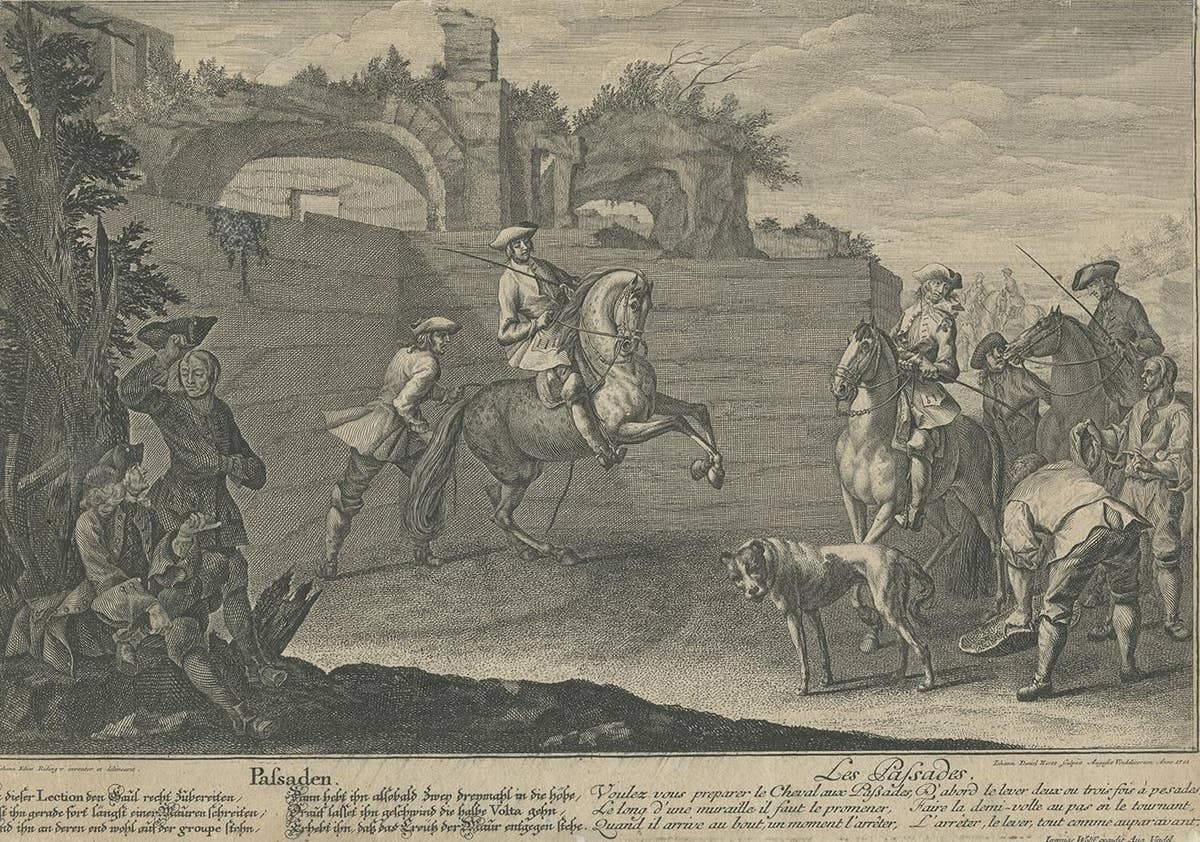 Antique Horse Print of a Passade training by Ridinger, 1722