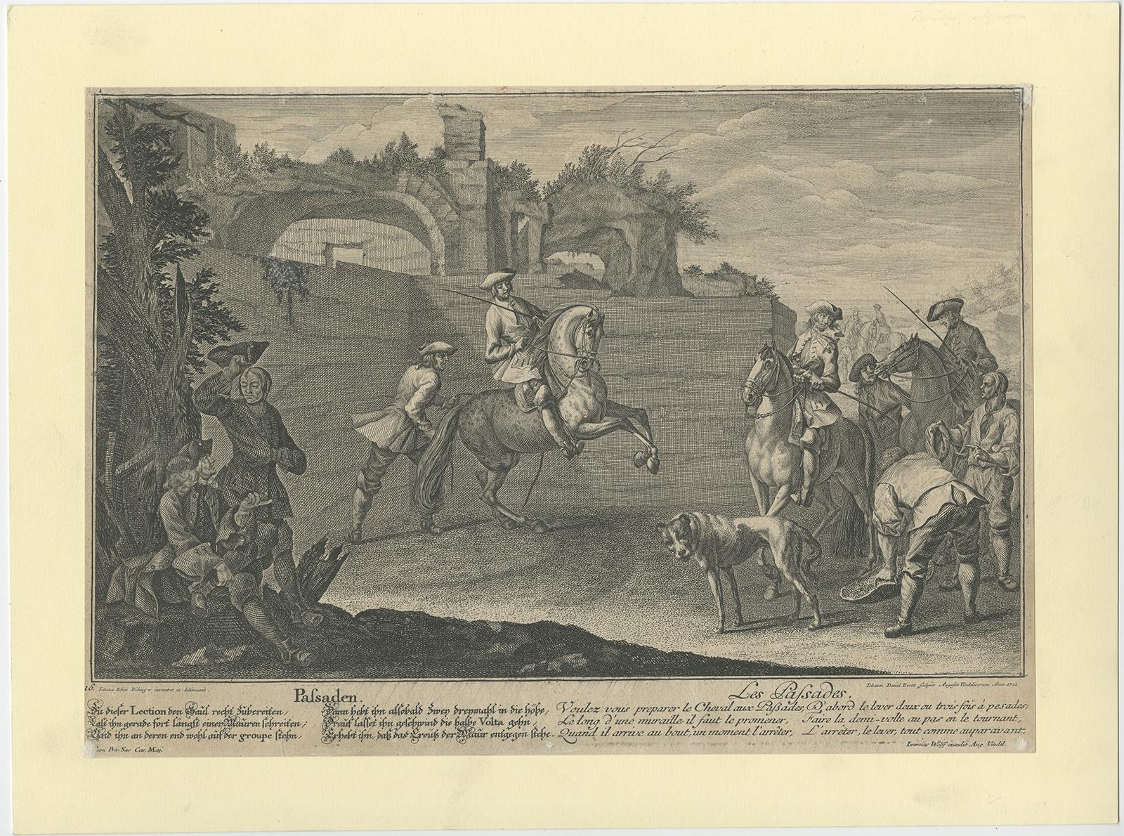 18th Century Antique Horse Print of a Passade training by Ridinger, 1722 For Sale