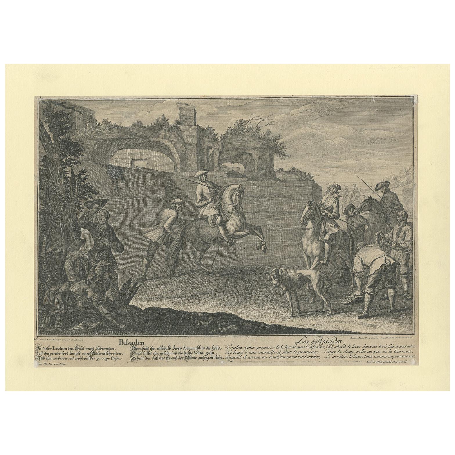 Stampa antica di un cavallo che si allena a Passade di Ridinger, 1722