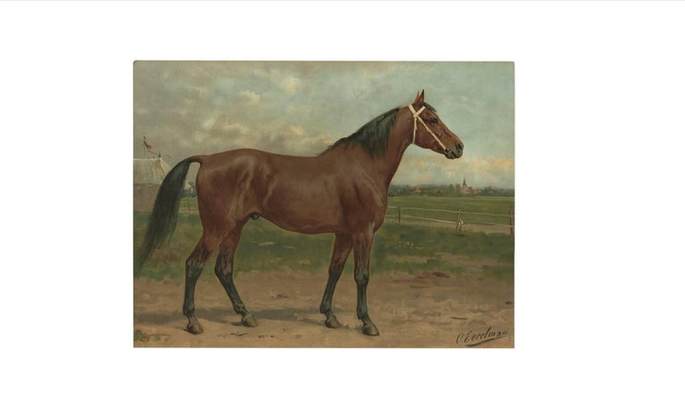 Antique Horse Print of an American Race Horse by O. Eerelman, 1898 In Good Condition For Sale In Langweer, NL