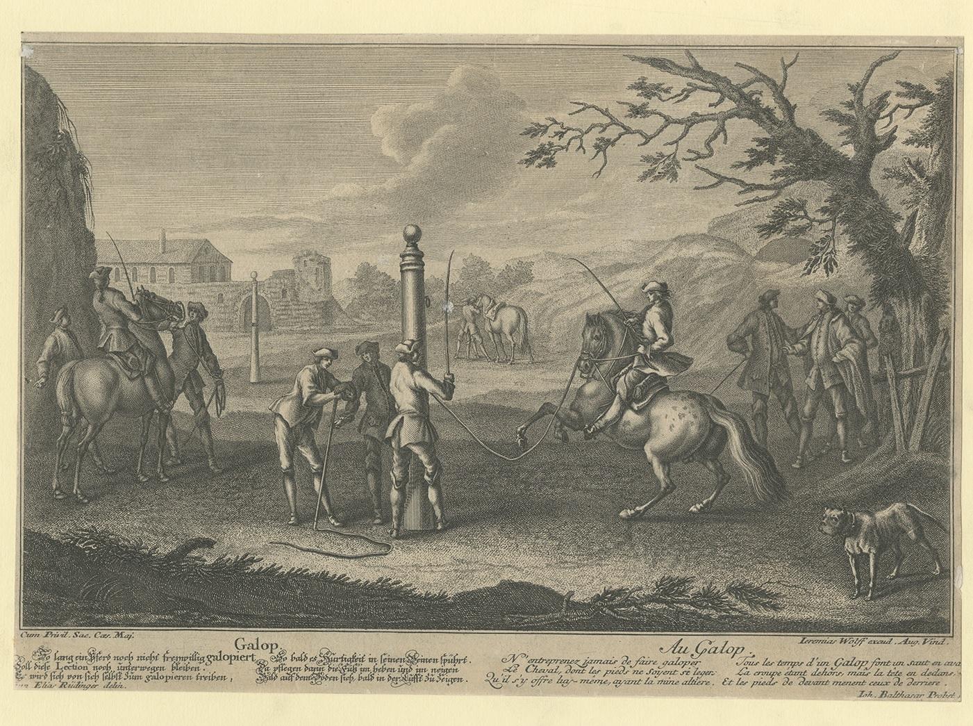 Antique print titled 'Galop - Au Galop'. This print originates from 'Neue Reitkunst' published by J. Wolff. Lithographed by J.B. Probst after J.E. Ridinger.