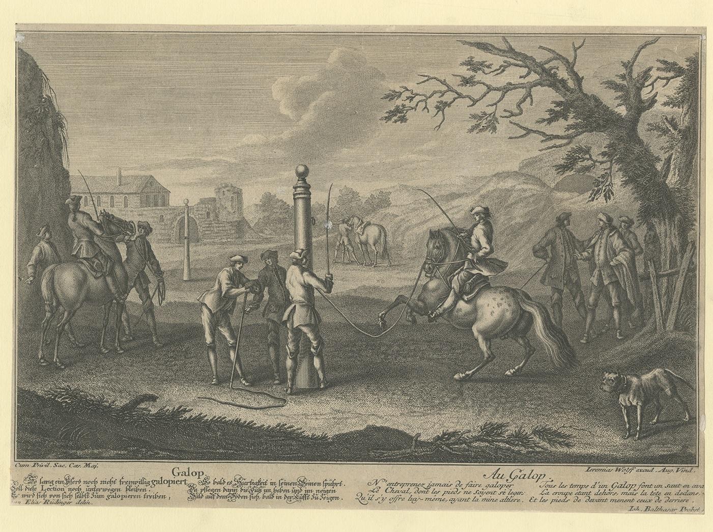 Antique print titled 'Galop - Au Galop'. This print originates from 'Neue Reitkunst' published by J. Wolff. Lithographed by J.B. Probst after J.E. Ridinger.