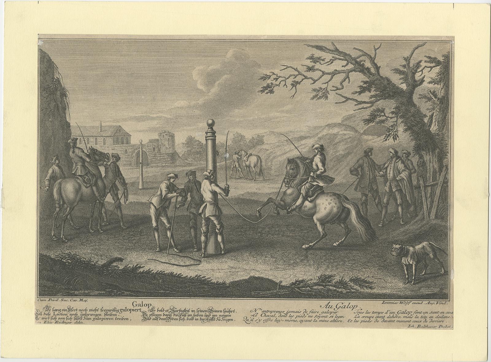 Antique Horse Print of 'Gallop' by J.E. Ridinger, 1722 In Fair Condition For Sale In Langweer, NL