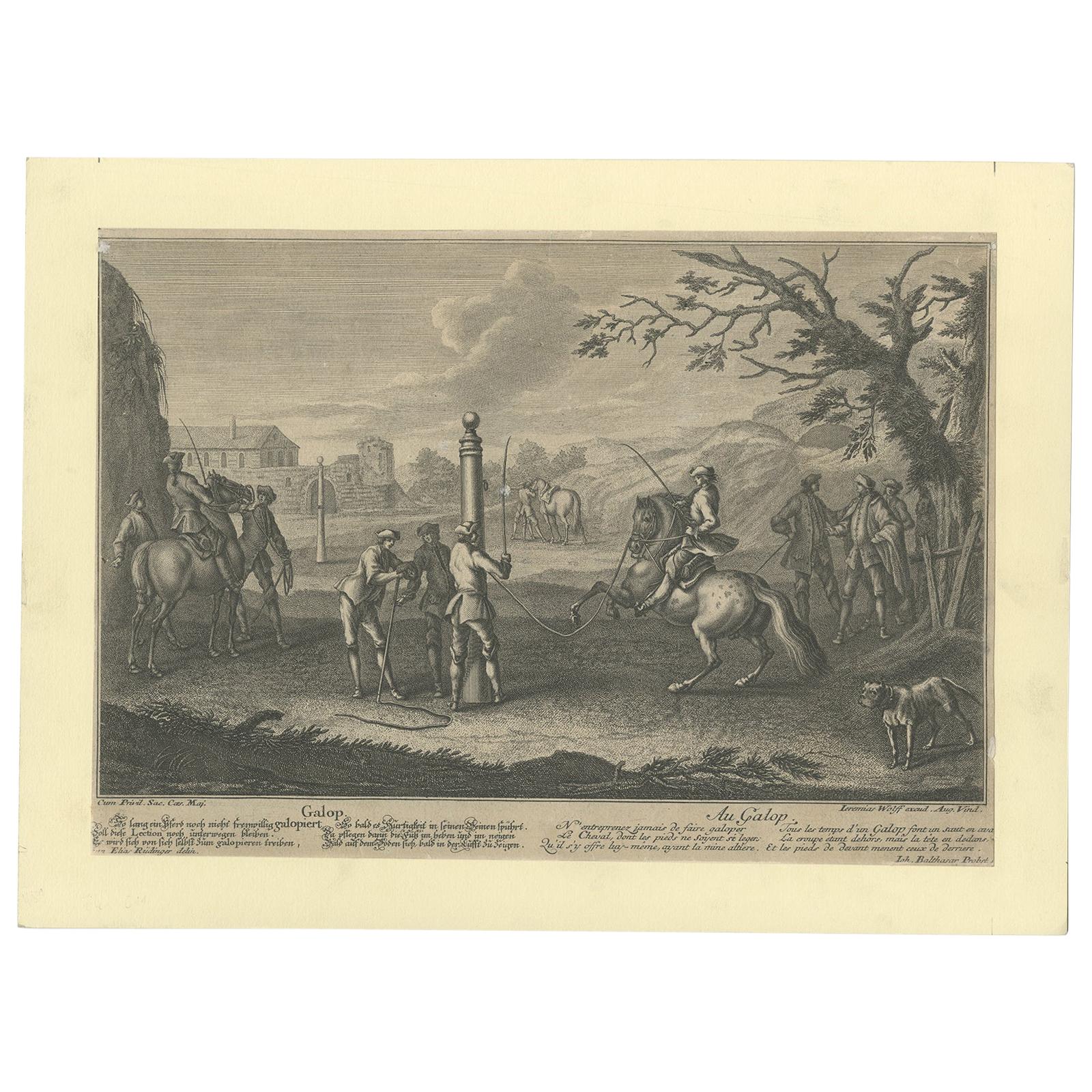 Antique Horse Print of 'Gallop' by J.E. Ridinger, 1722 For Sale