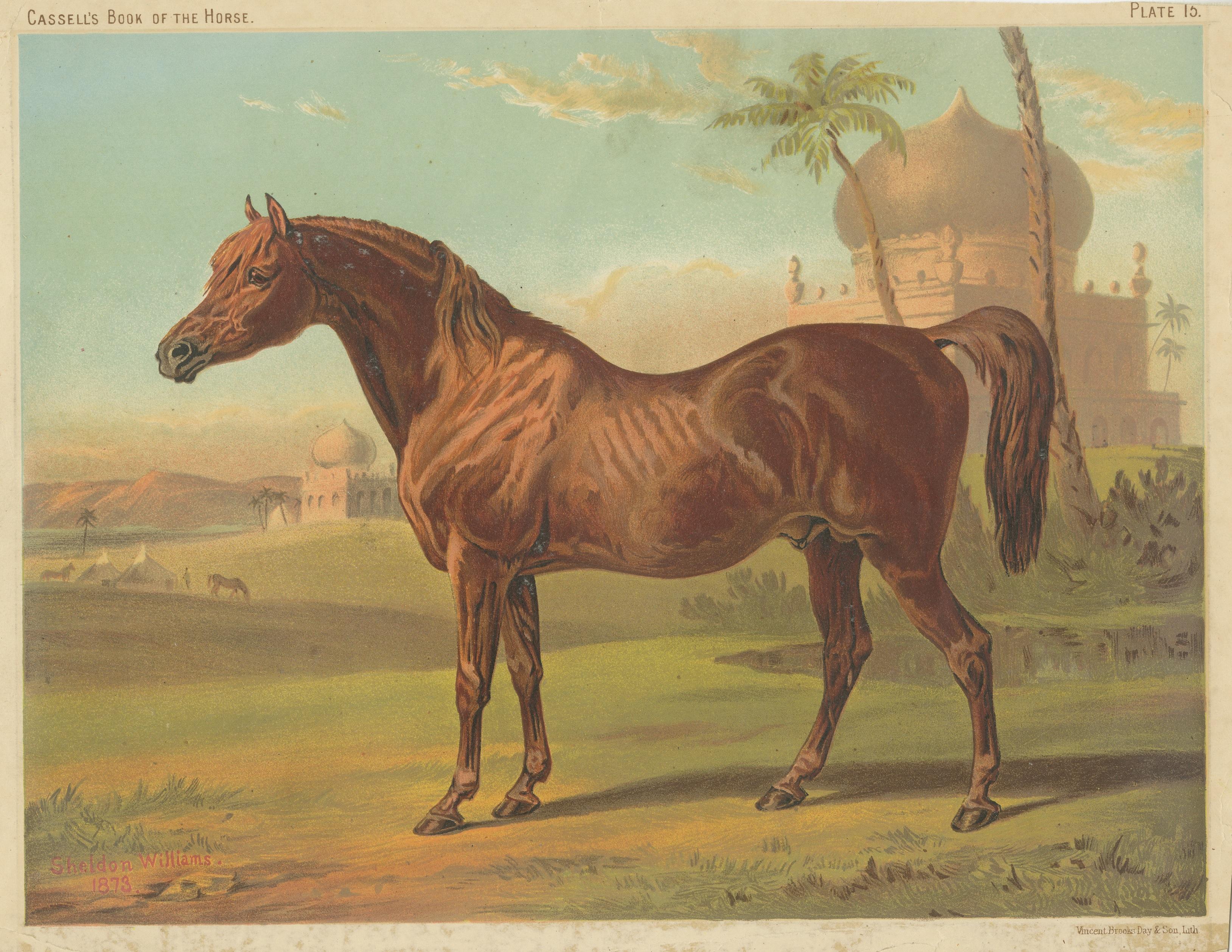 Antiker Pferdedruck von Goldie, Araber Hochklassik im Zustand „Relativ gut“ im Angebot in Langweer, NL