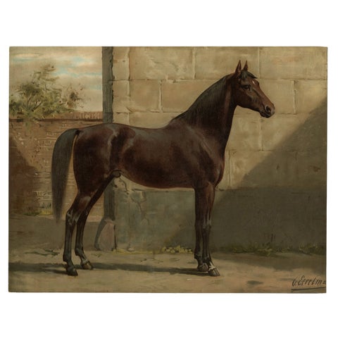 Antique Lithograph Print of East Prussian Horse, 1898, Good Condition