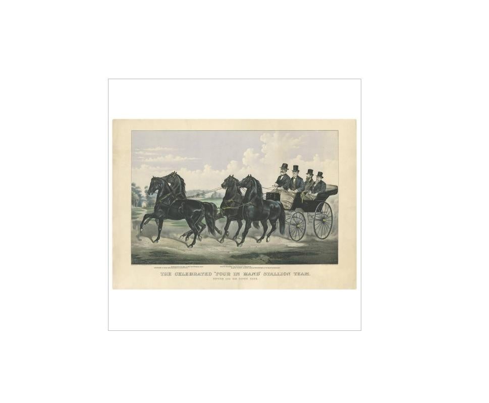 Large antique print titled 'The Celebrated Four in Hand Stallion Team. Superb and his three sons'. The foremost horse is superb. The other horses' names are listed as nightshade, black diamond, and success. This print is based on a painting by John