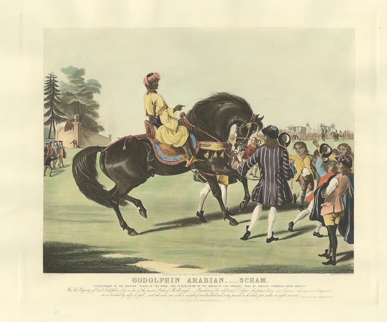 Antique print titled 'Godolphin Arabian - Scham'. The Godolphin Arabian (circa 1724-1753), also known as the Godolphin Barb, was an Arabian horse or Barb horse who was one of three stallions that founded the modern Thoroughbred (the others were the