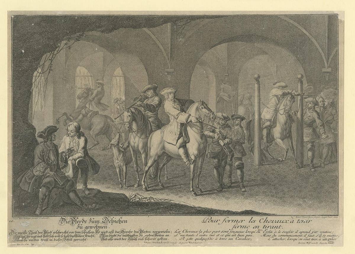 Antique Horse Print Training the Horses for Shooting by Ridinger, 1722