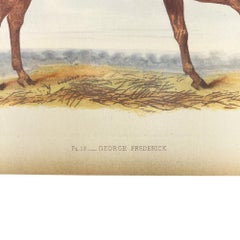 Antique Horse Racing Print ‘George Frederick’ After Herring, English Lithograph