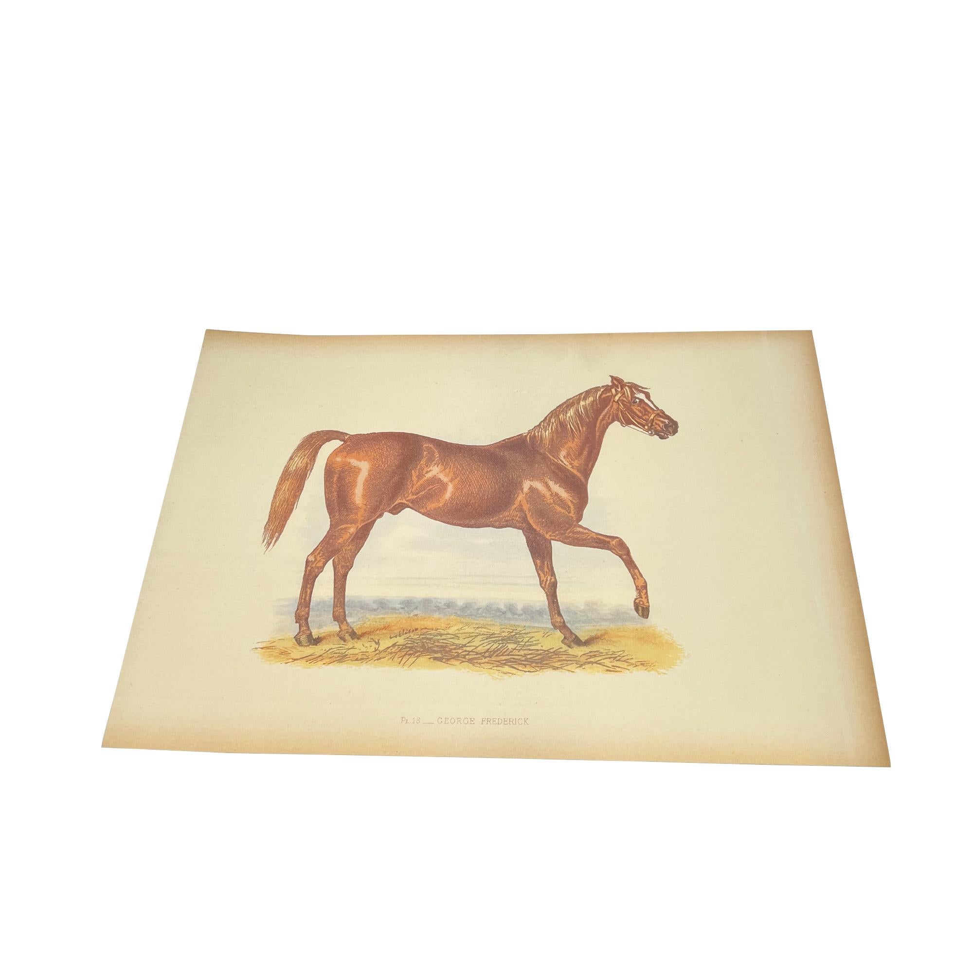 20ième siècle Lithographie ancienne sur les courses de chevaux 'George Frederick' d'après Herring, Angleterre en vente