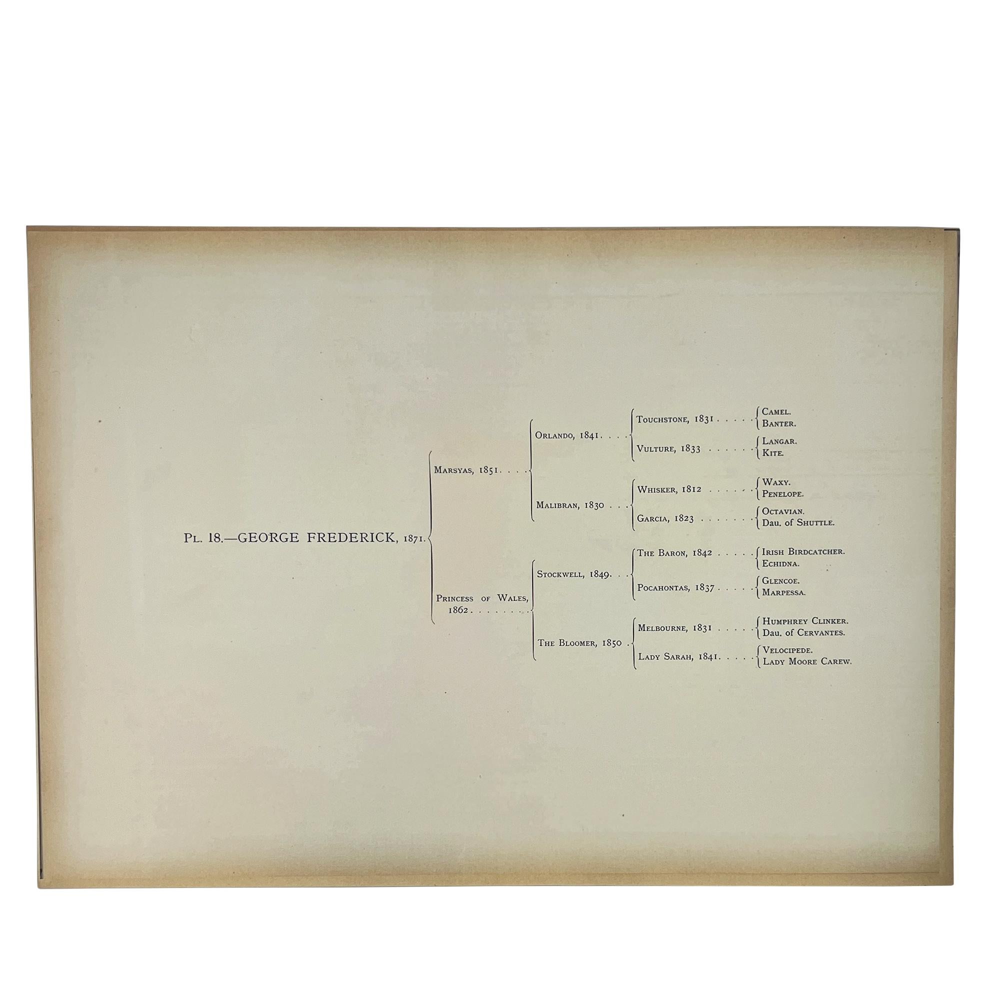 Papier Lithographie ancienne sur les courses de chevaux 'George Frederick' d'après Herring, Angleterre en vente