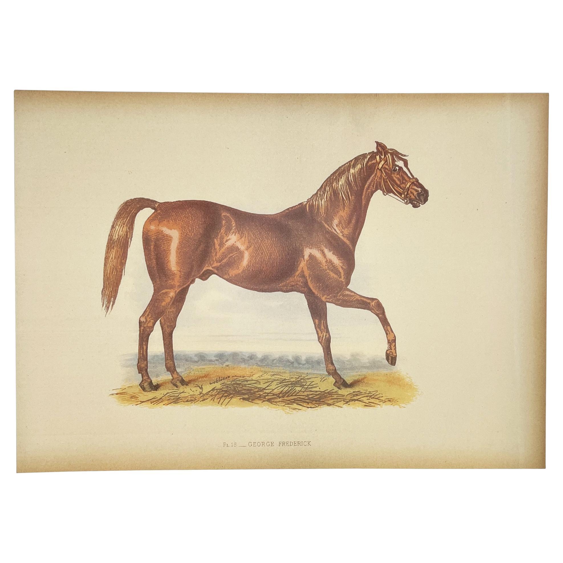 Lithographie ancienne sur les courses de chevaux 'George Frederick' d'après Herring, Angleterre