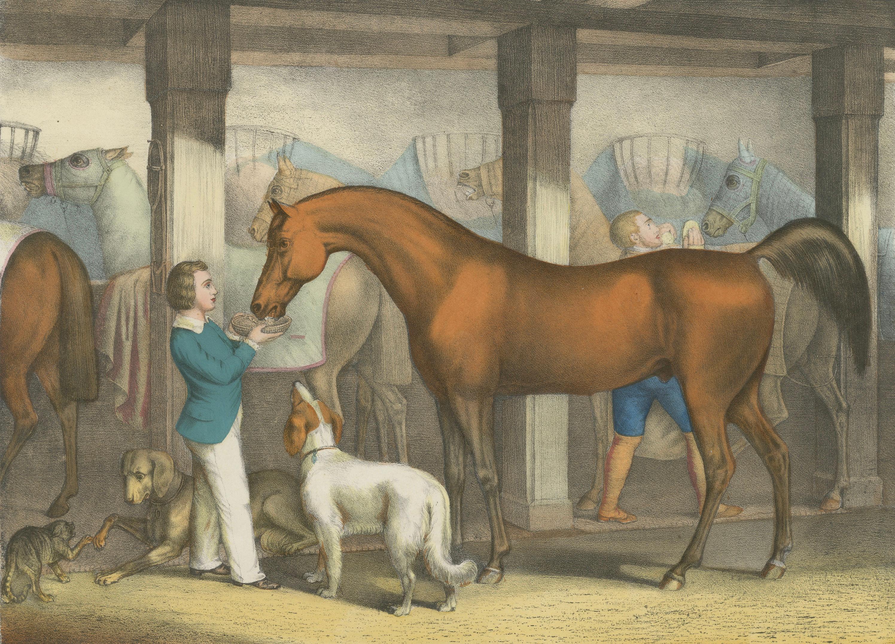 Antique Horse Stable Lithograph - The Young Master’s Favorites, c.1827